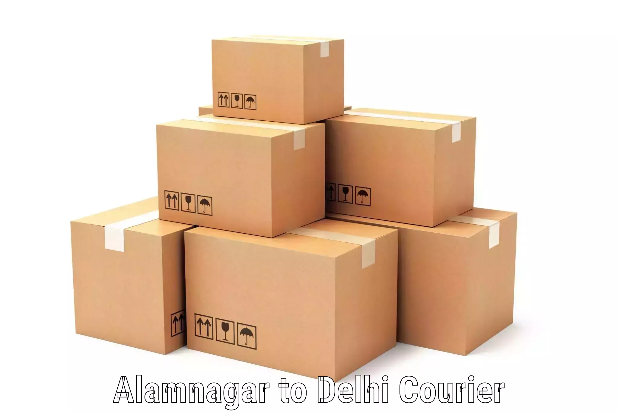 Global parcel delivery Alamnagar to Lodhi Road