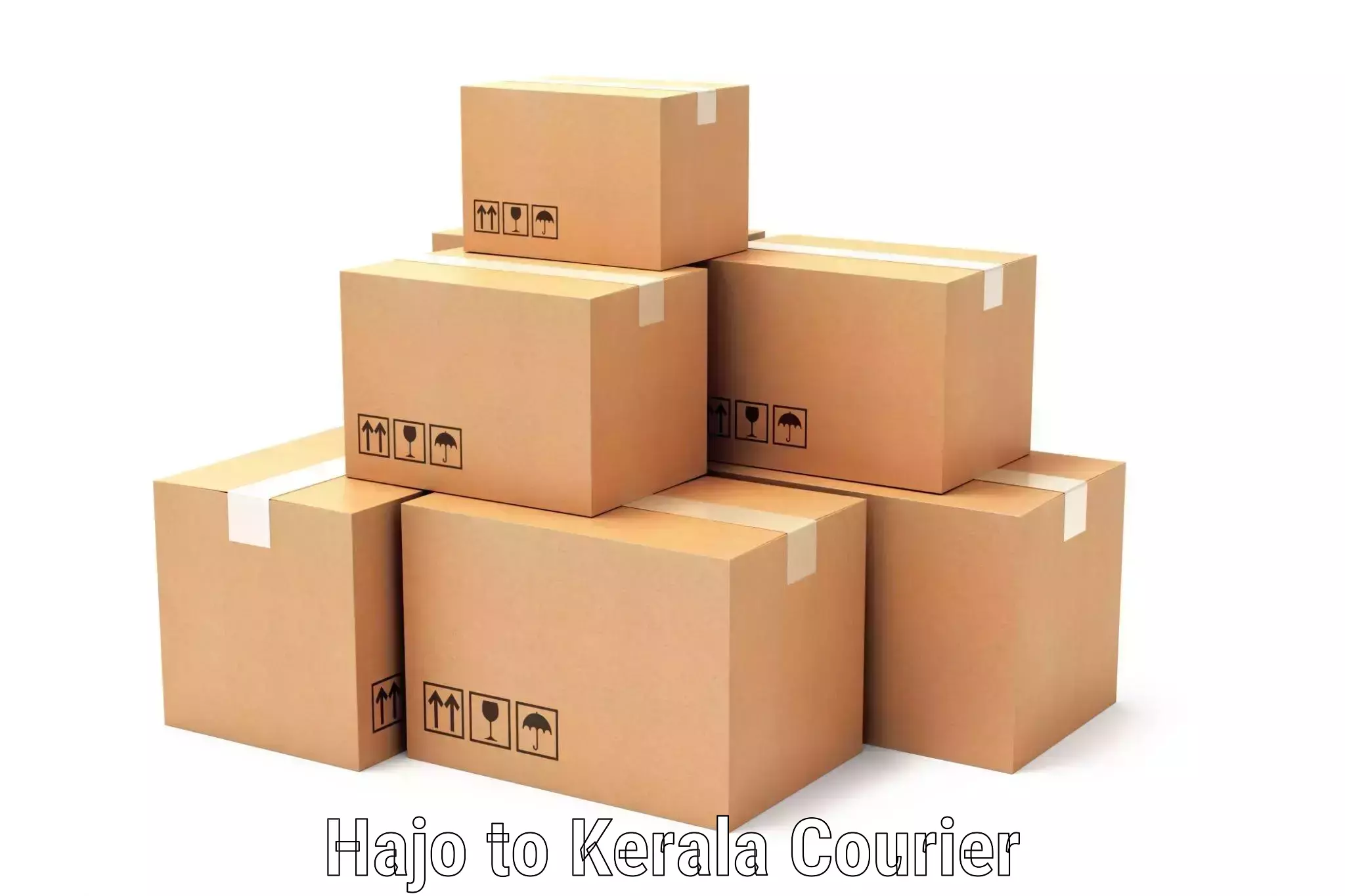 Courier service efficiency Hajo to Adoor