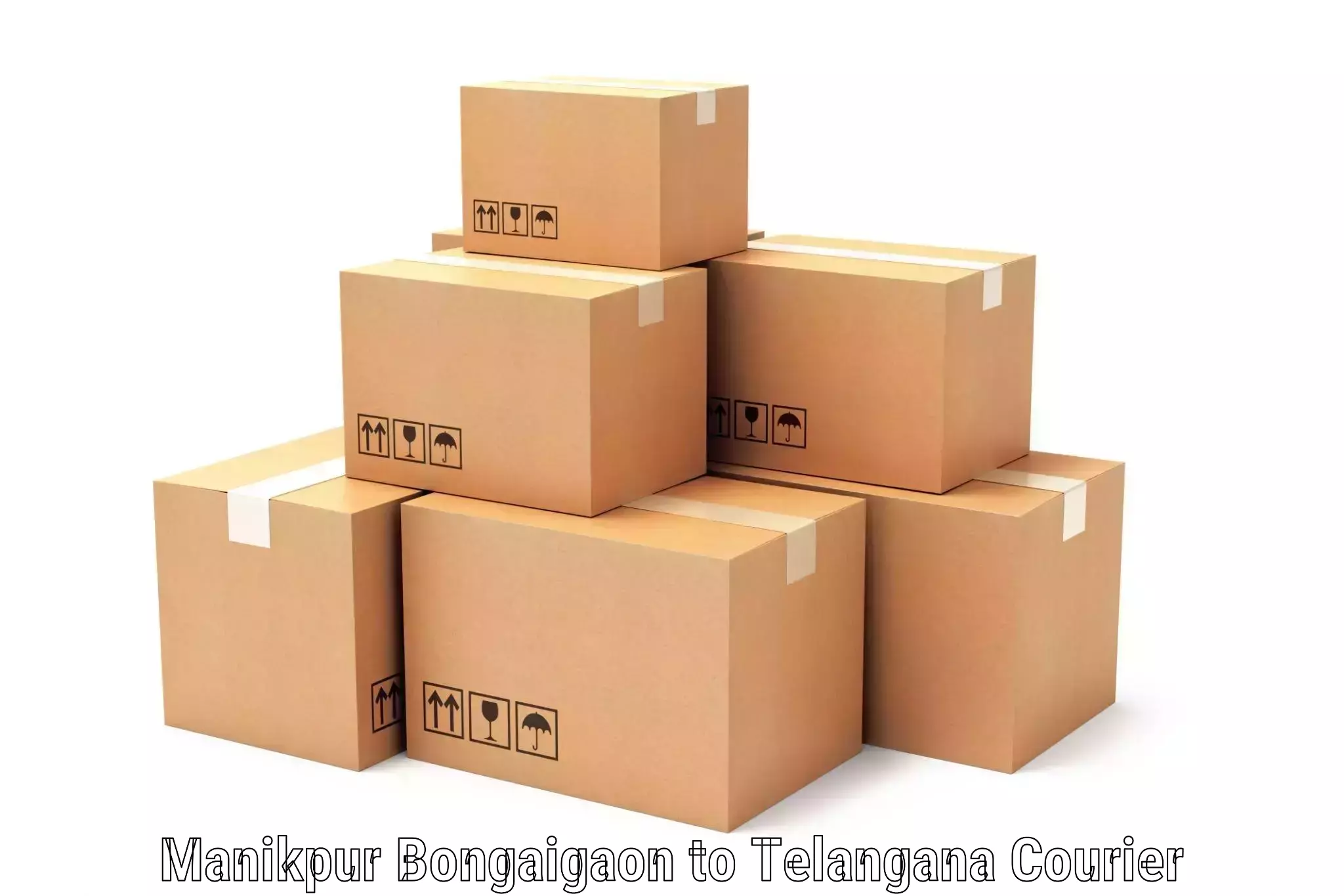 Logistics efficiency Manikpur Bongaigaon to Pargi