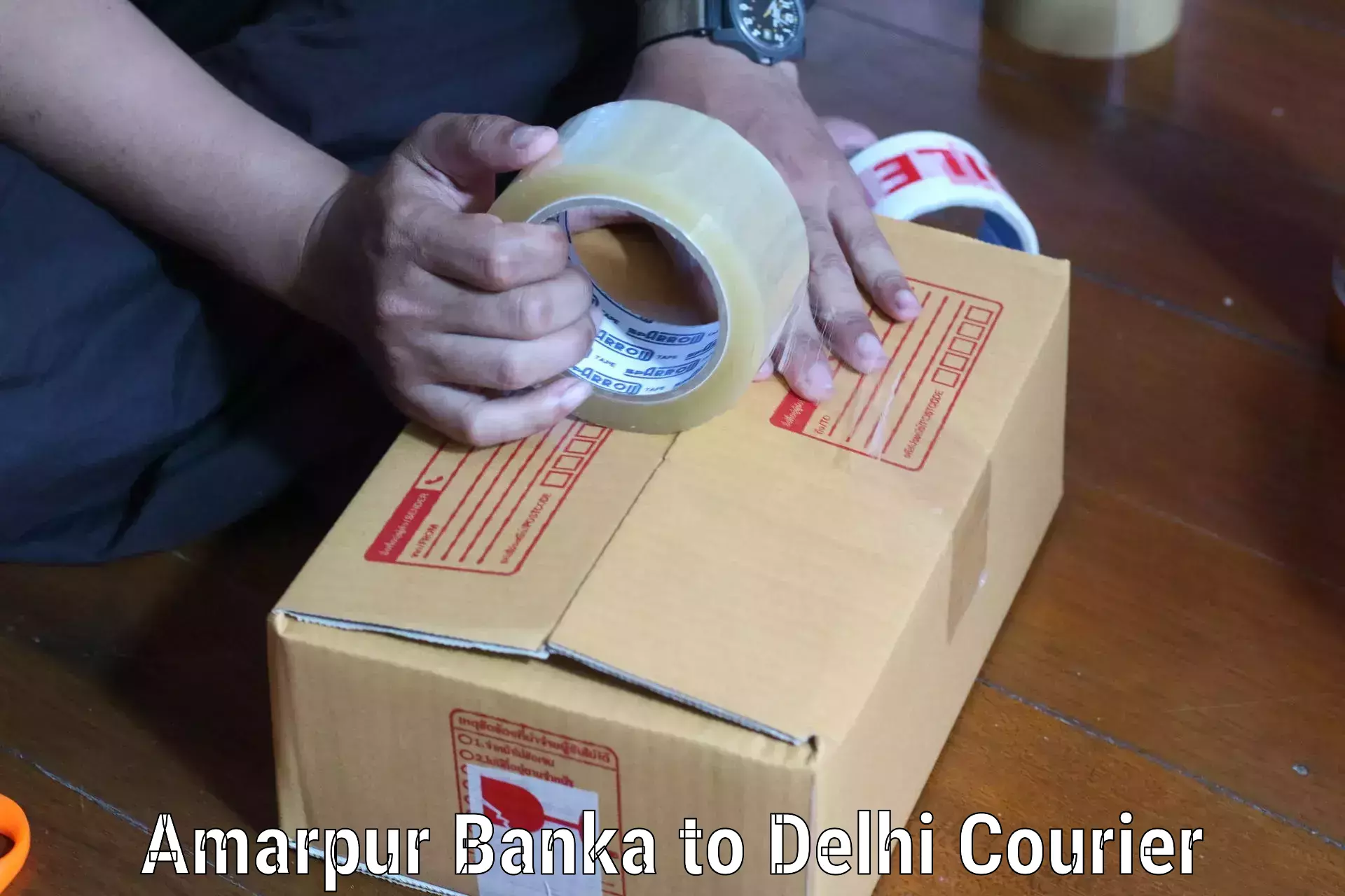 Innovative courier solutions Amarpur Banka to Delhi
