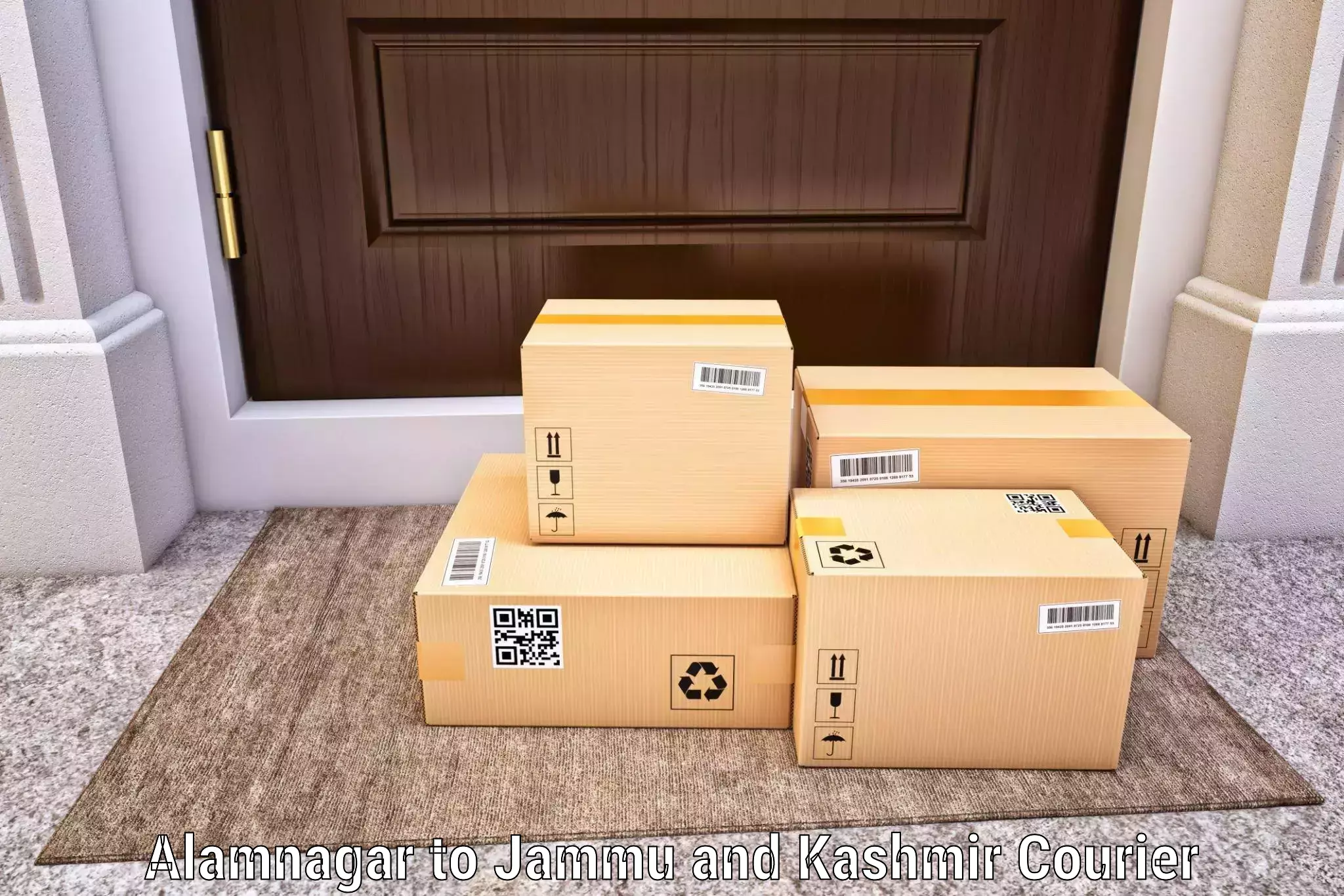 Global parcel delivery Alamnagar to Leh