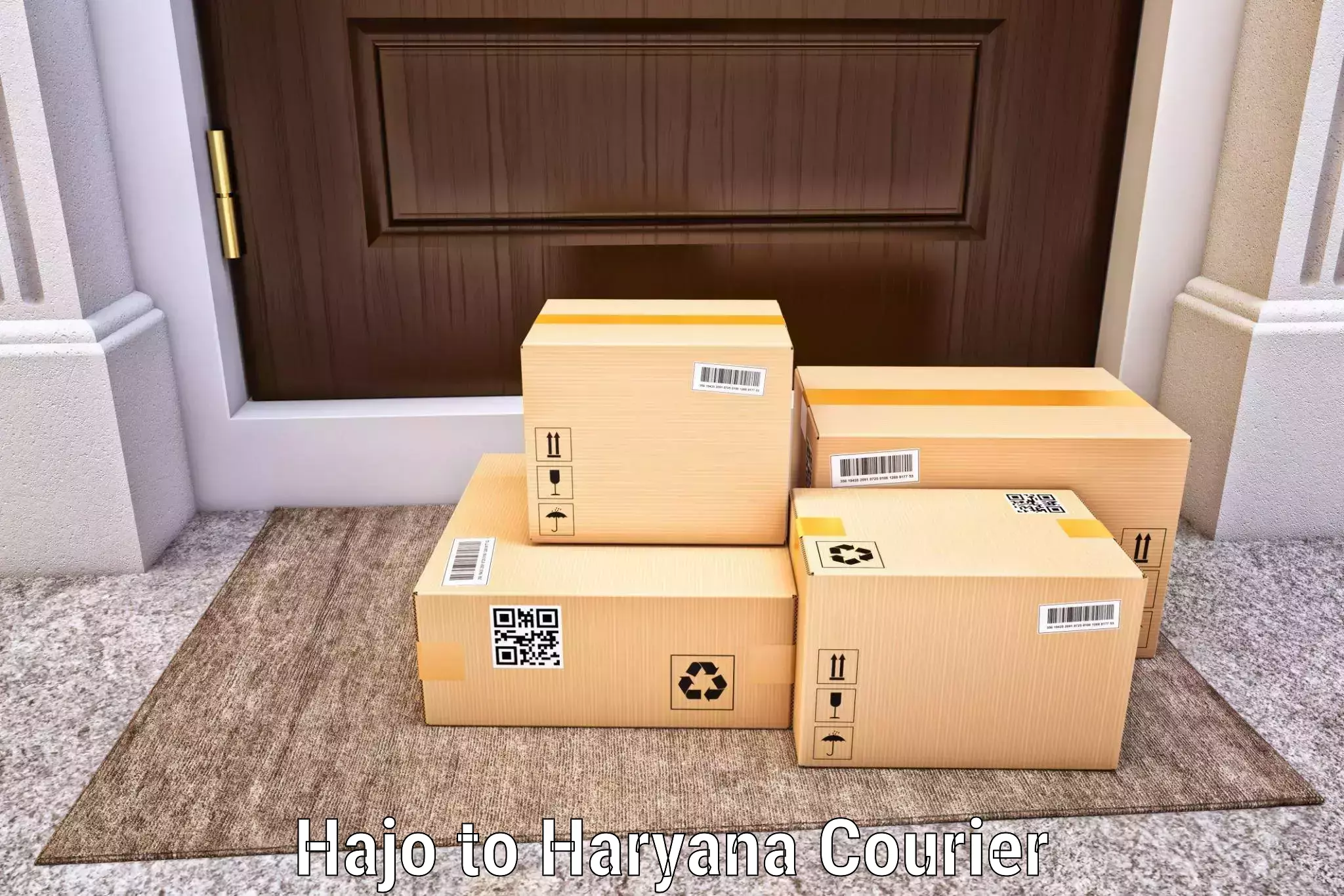 Full-service courier options Hajo to Haryana