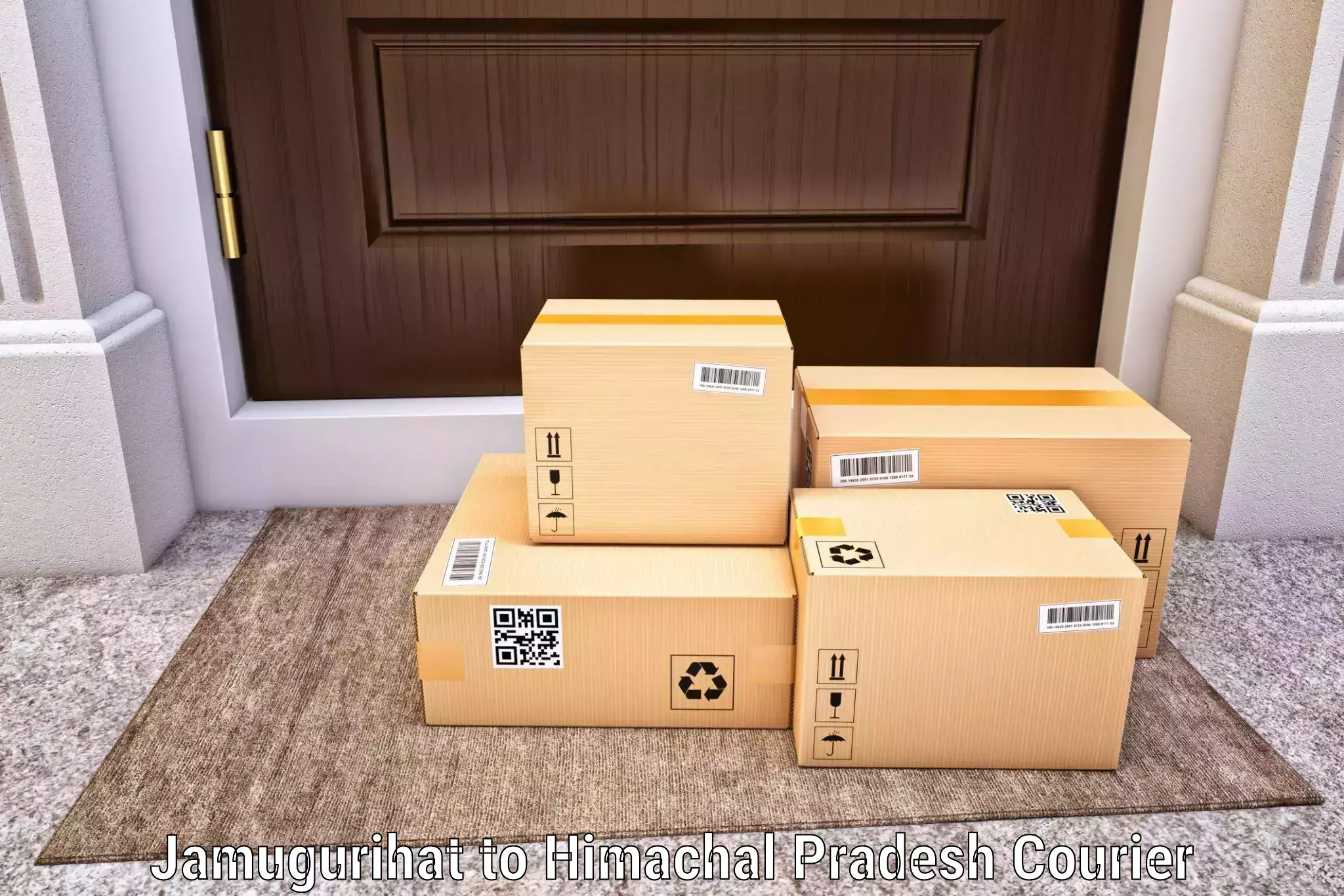 Global parcel delivery Jamugurihat to Kyelang
