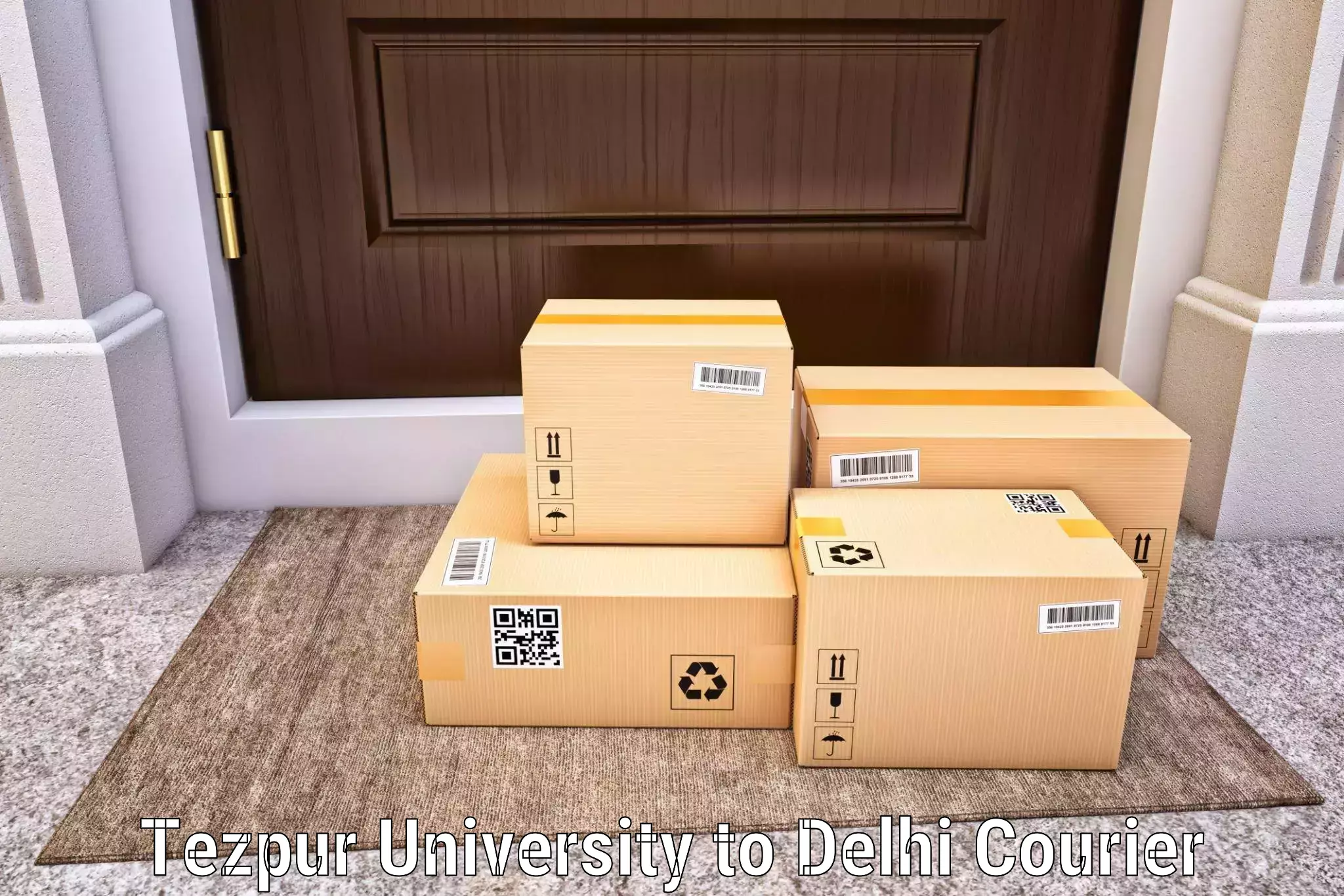 Next day courier Tezpur University to NCR