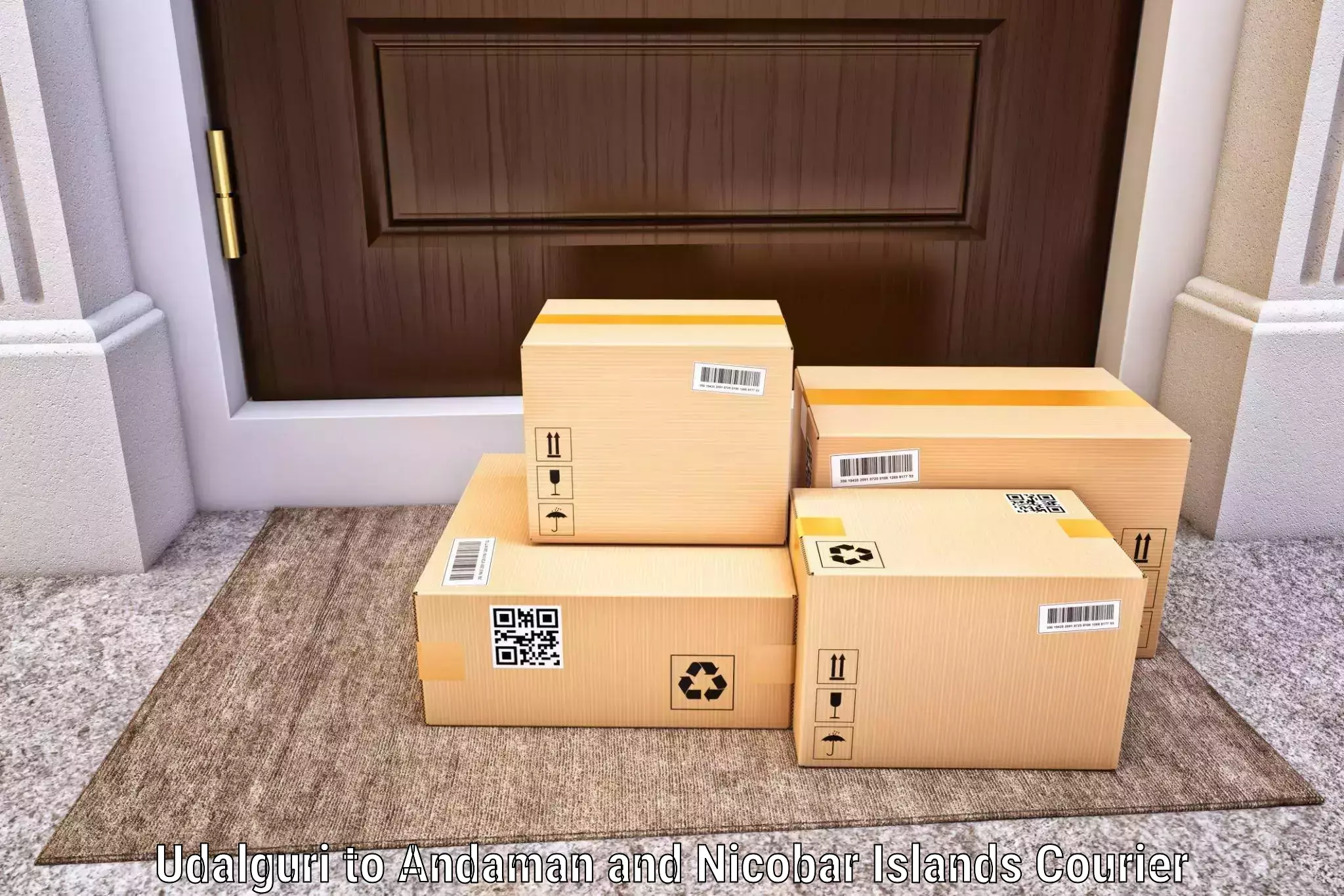 Smart parcel delivery Udalguri to Nicobar