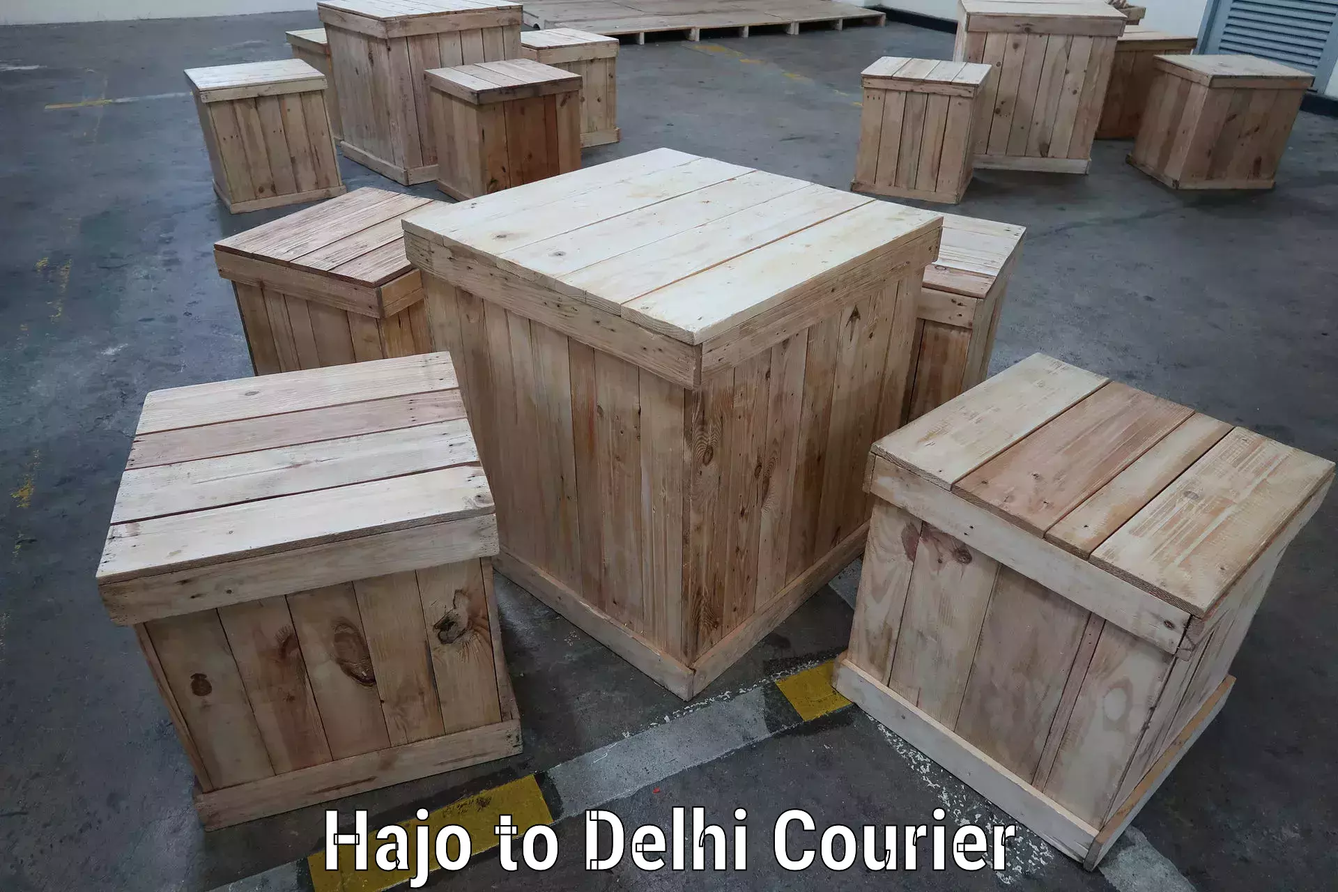 Round-the-clock parcel delivery Hajo to Delhi