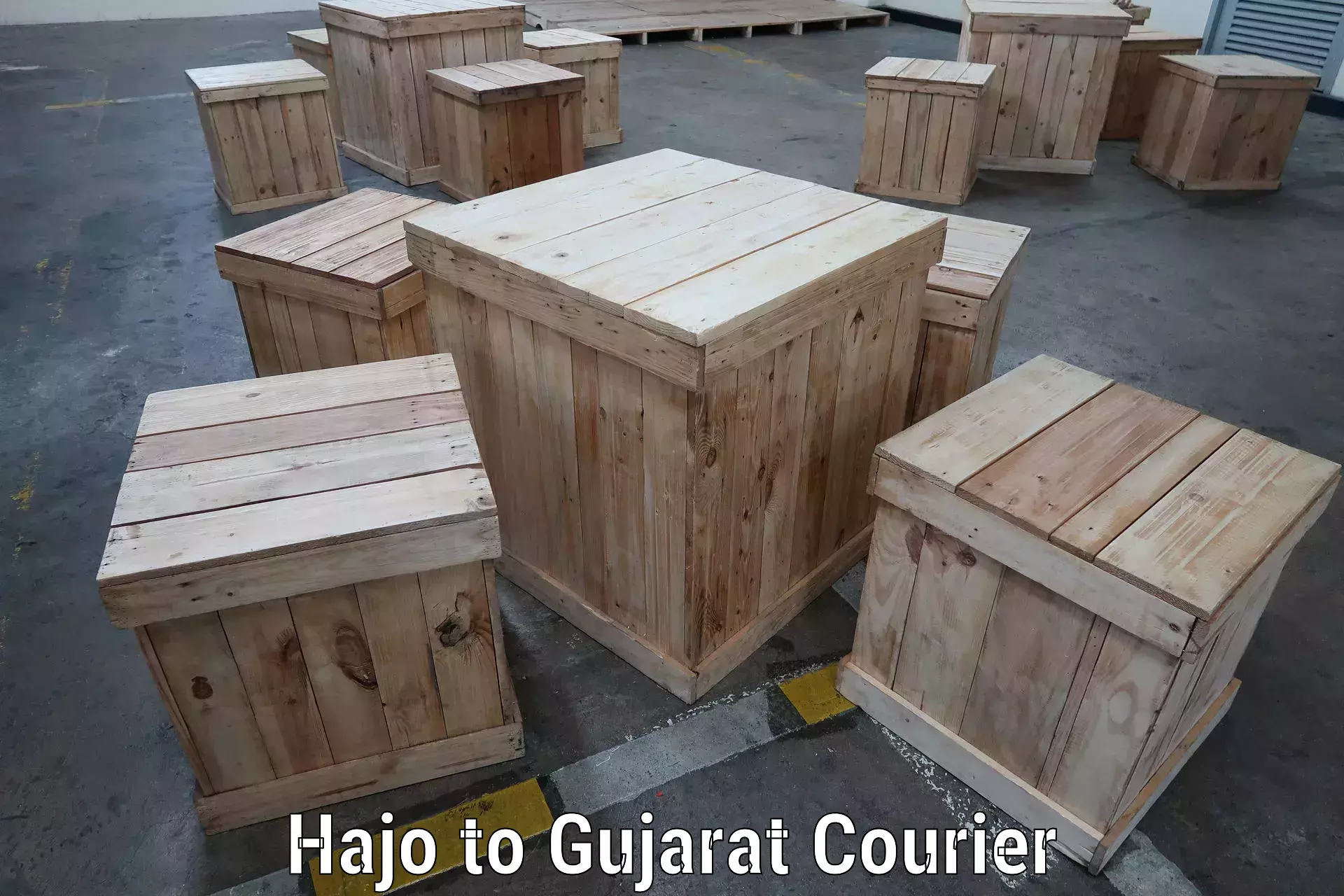 Smart courier technologies Hajo to Bharuch