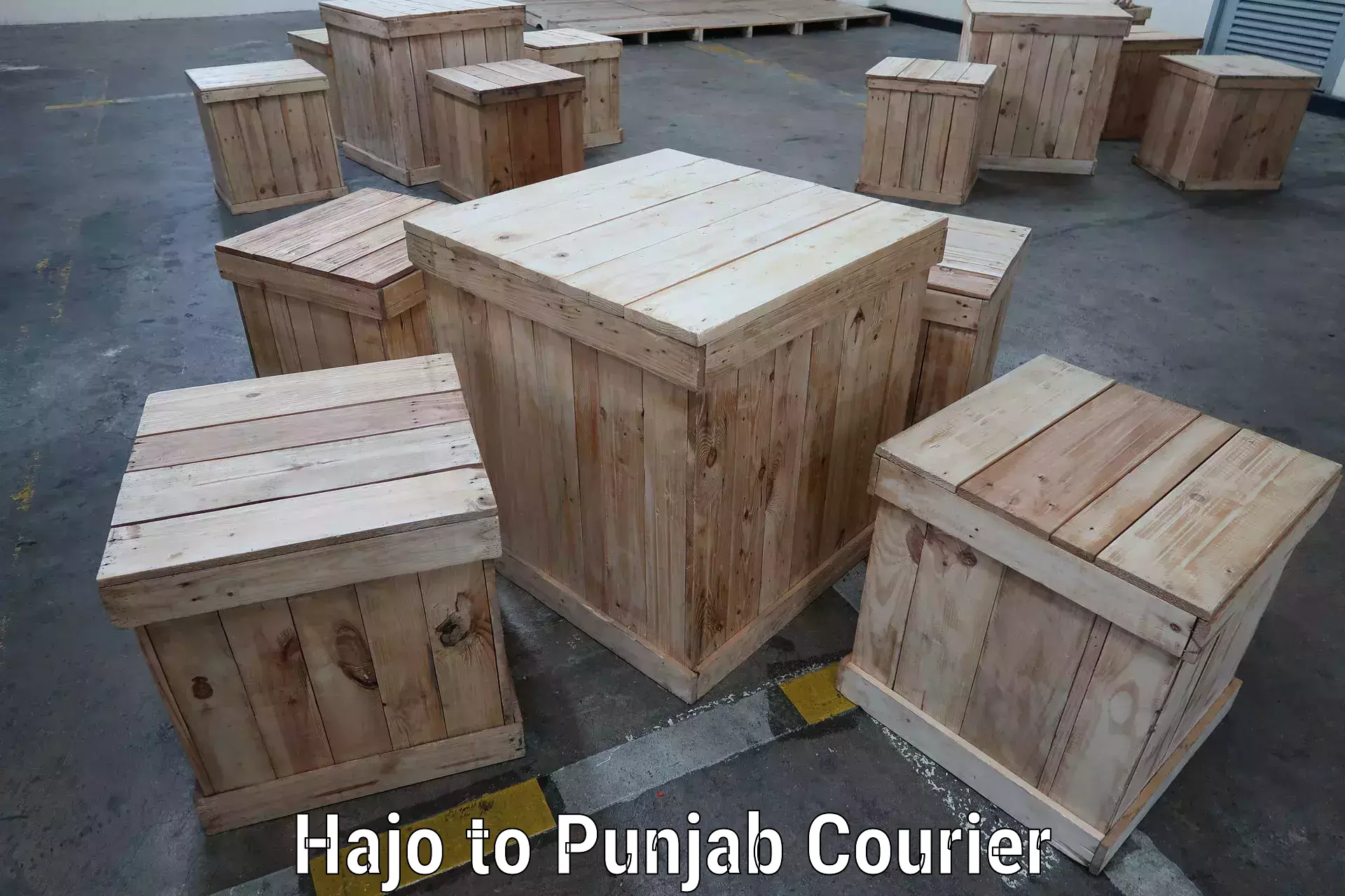 Efficient parcel delivery Hajo to Thapar Institute of Engineering and Technology Patiala