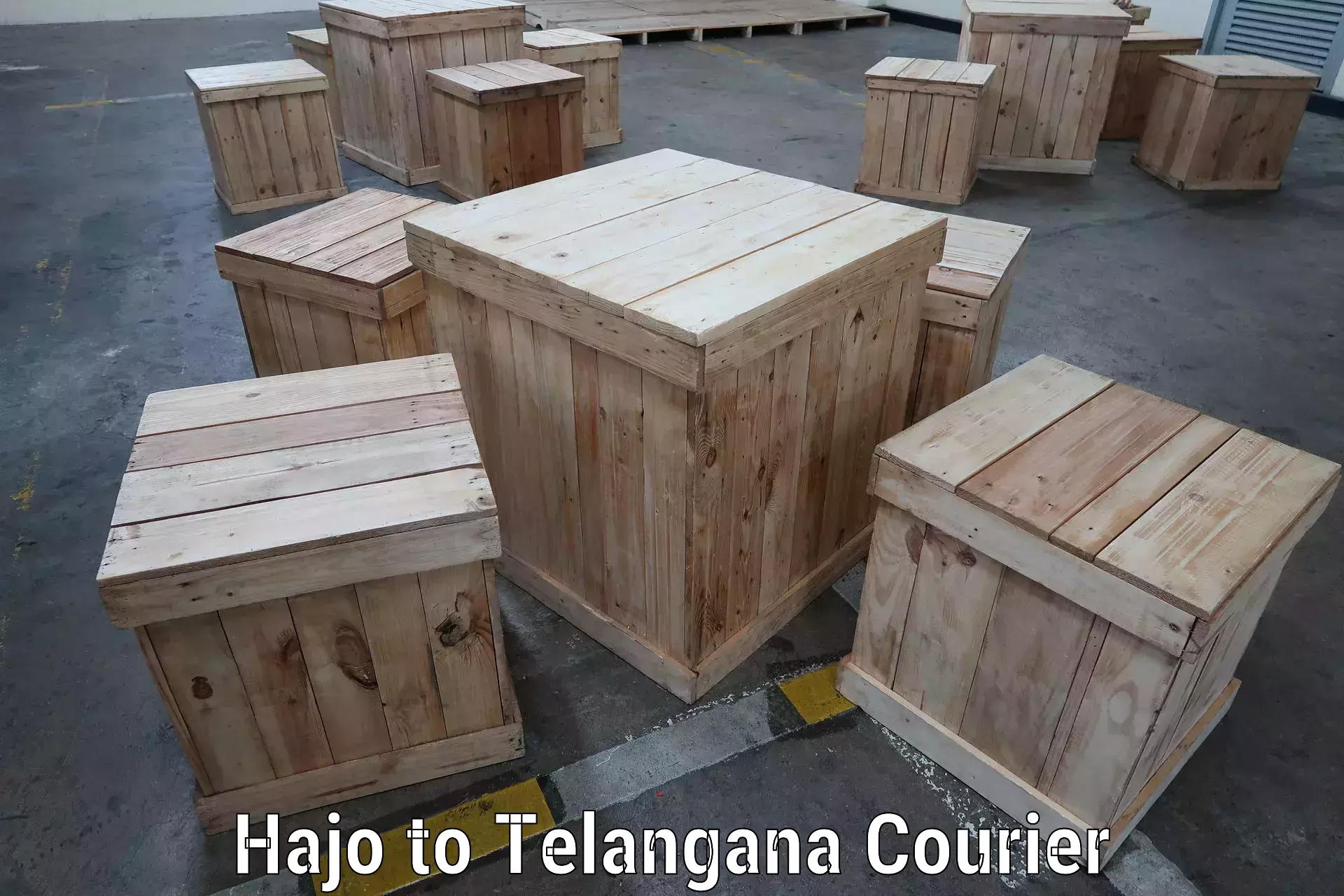 Next day courier in Hajo to Telangana