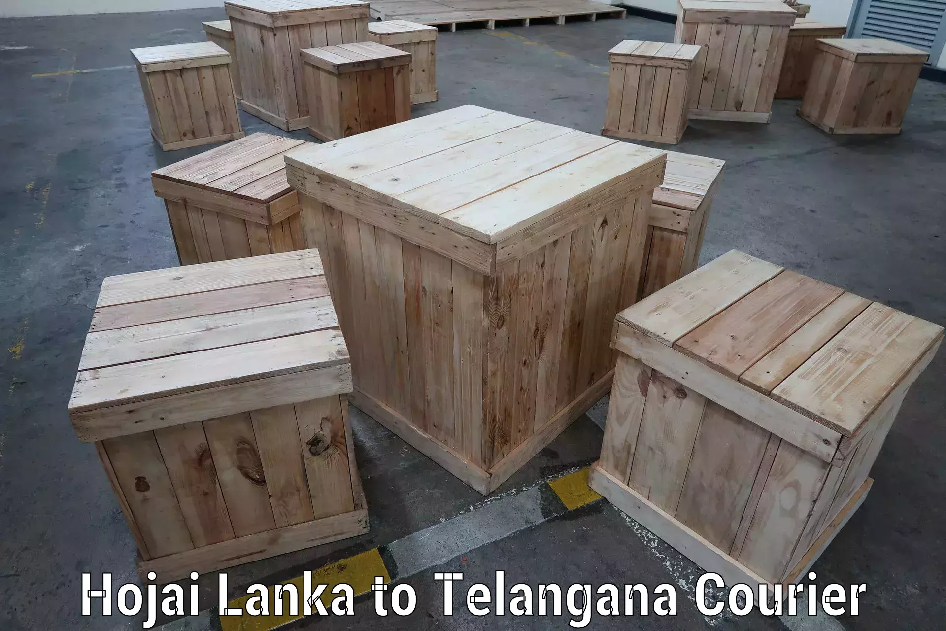 Courier service efficiency Hojai Lanka to Telangana