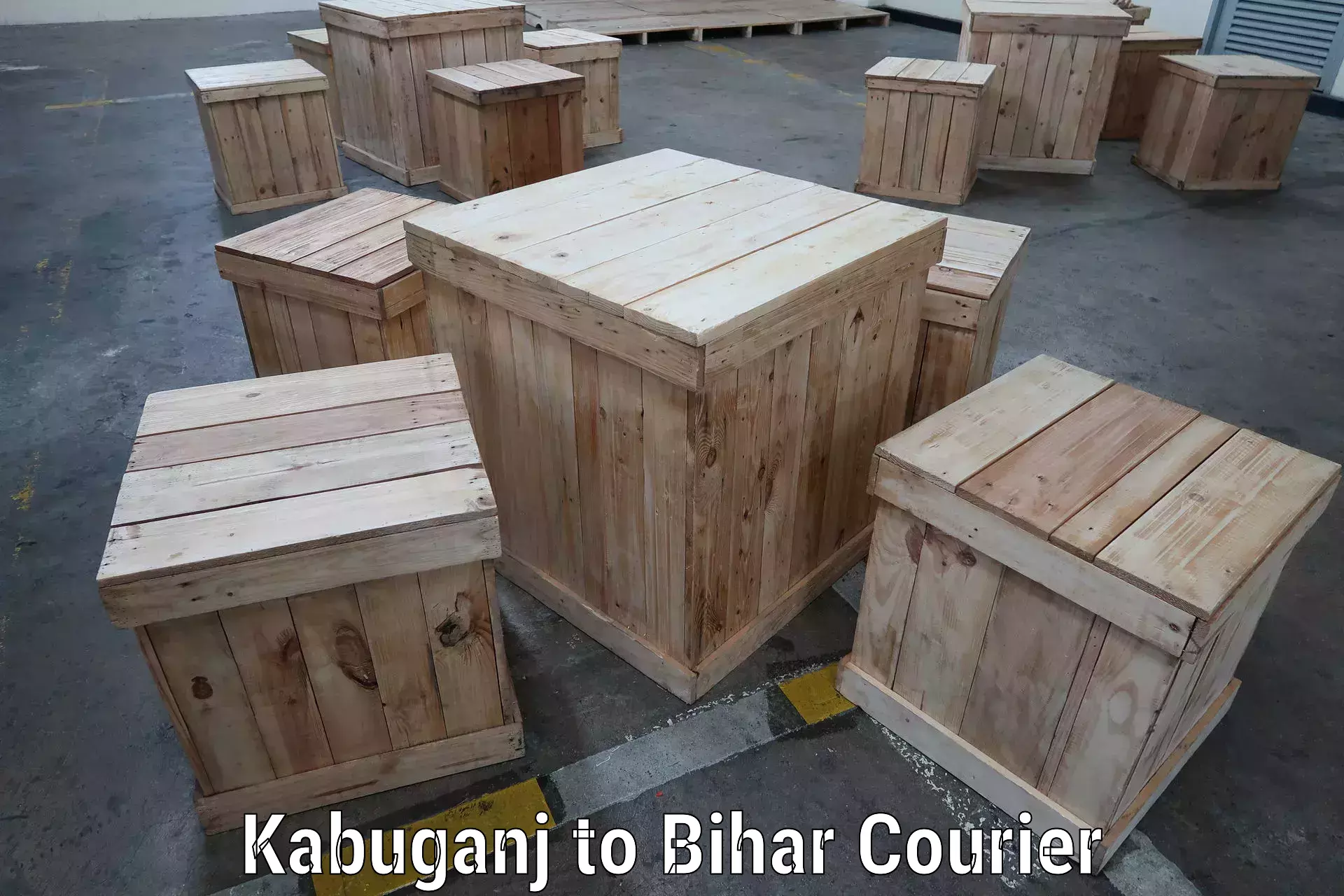 Courier services Kabuganj to Alamnagar
