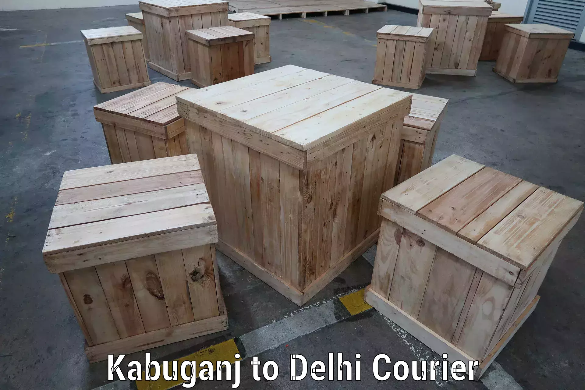 Efficient parcel tracking Kabuganj to Delhi