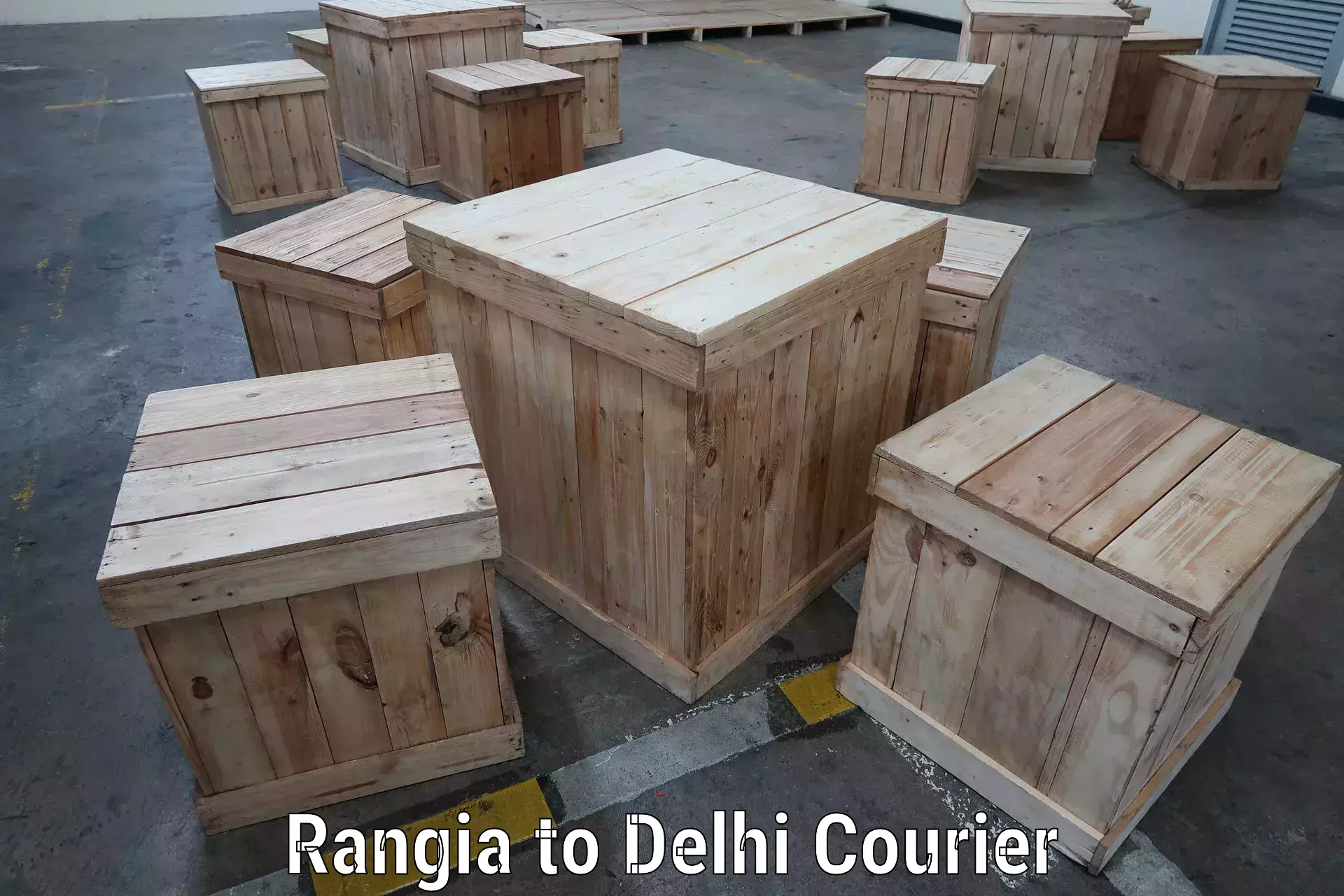 Next-day delivery options in Rangia to Delhi