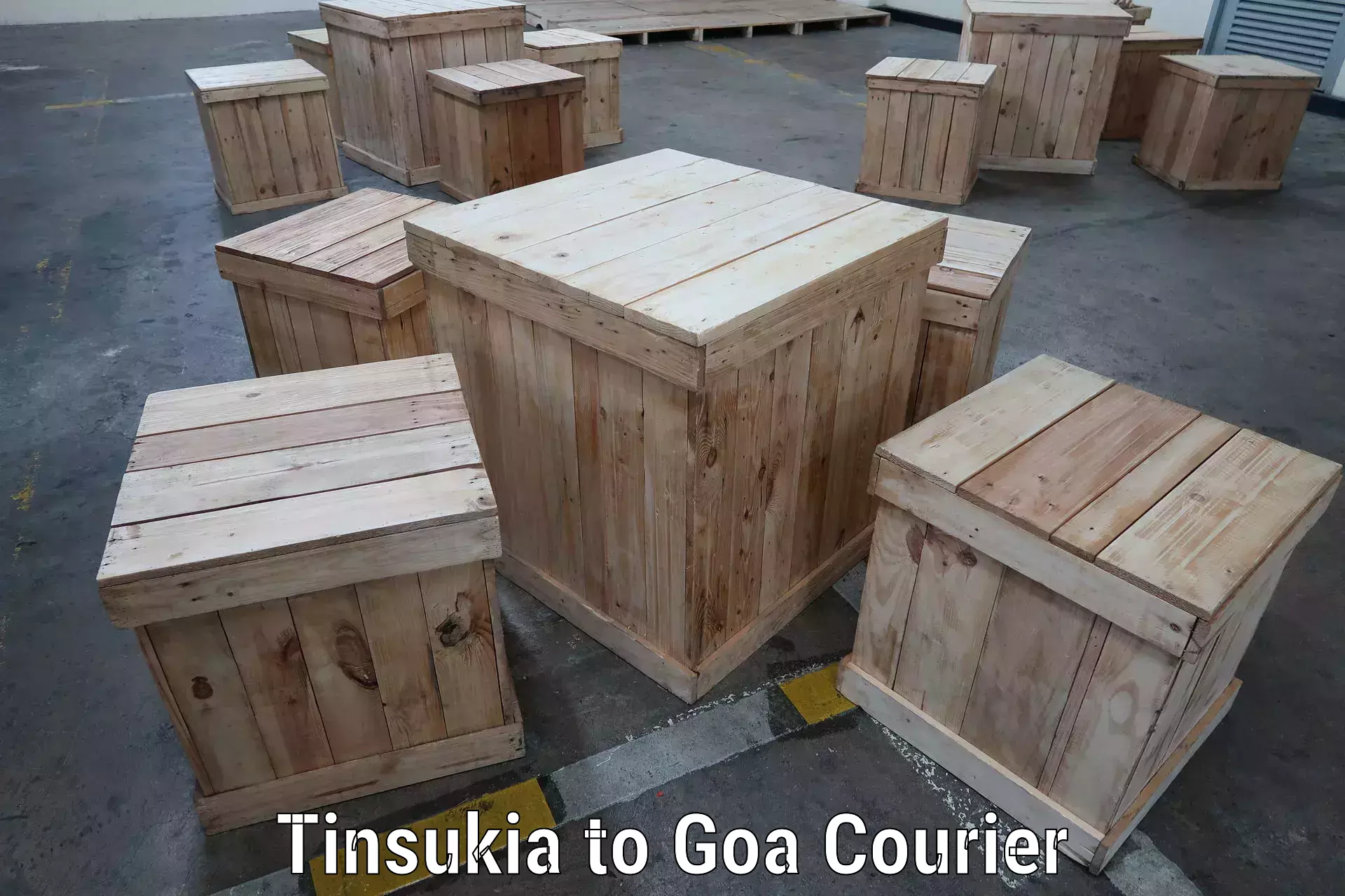 Multi-national courier services Tinsukia to Goa