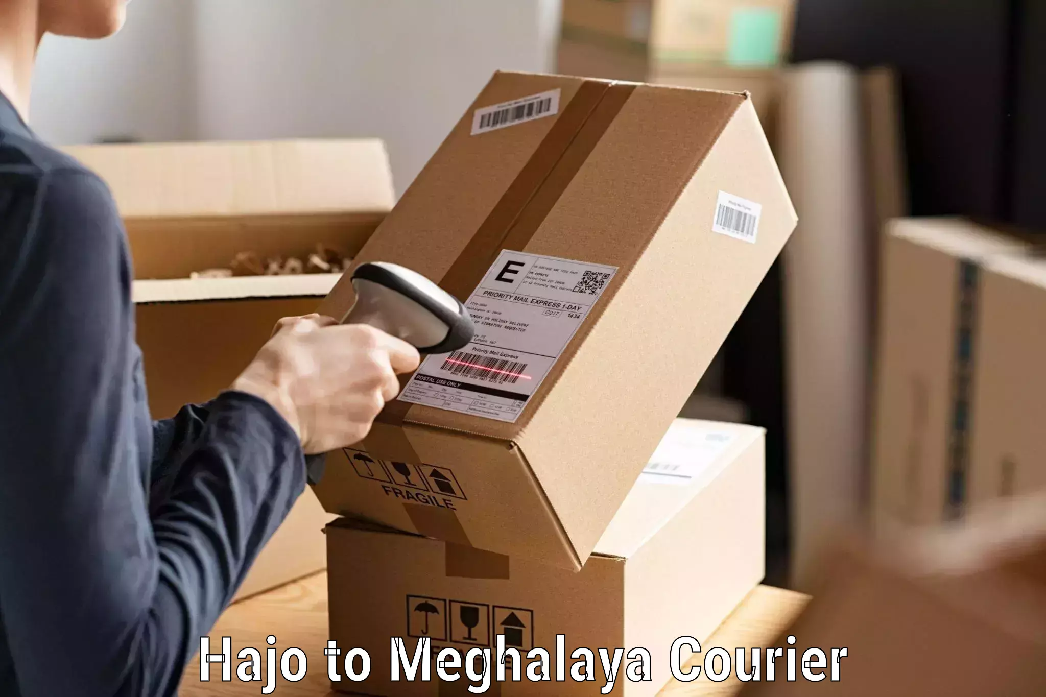 Next day courier Hajo to Meghalaya