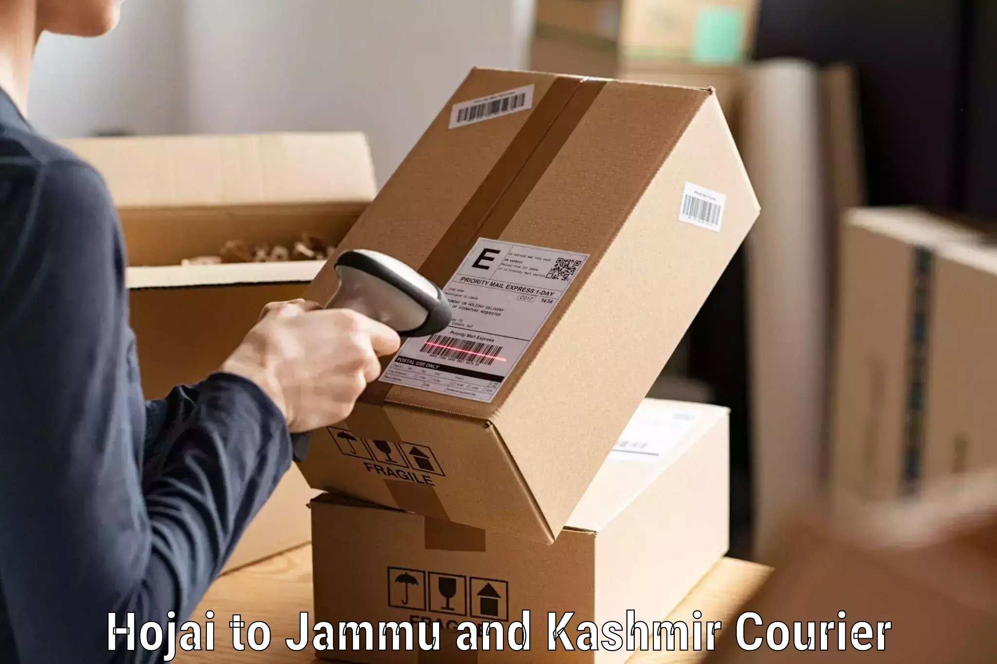Global parcel delivery Hojai to University of Kashmir Srinagar