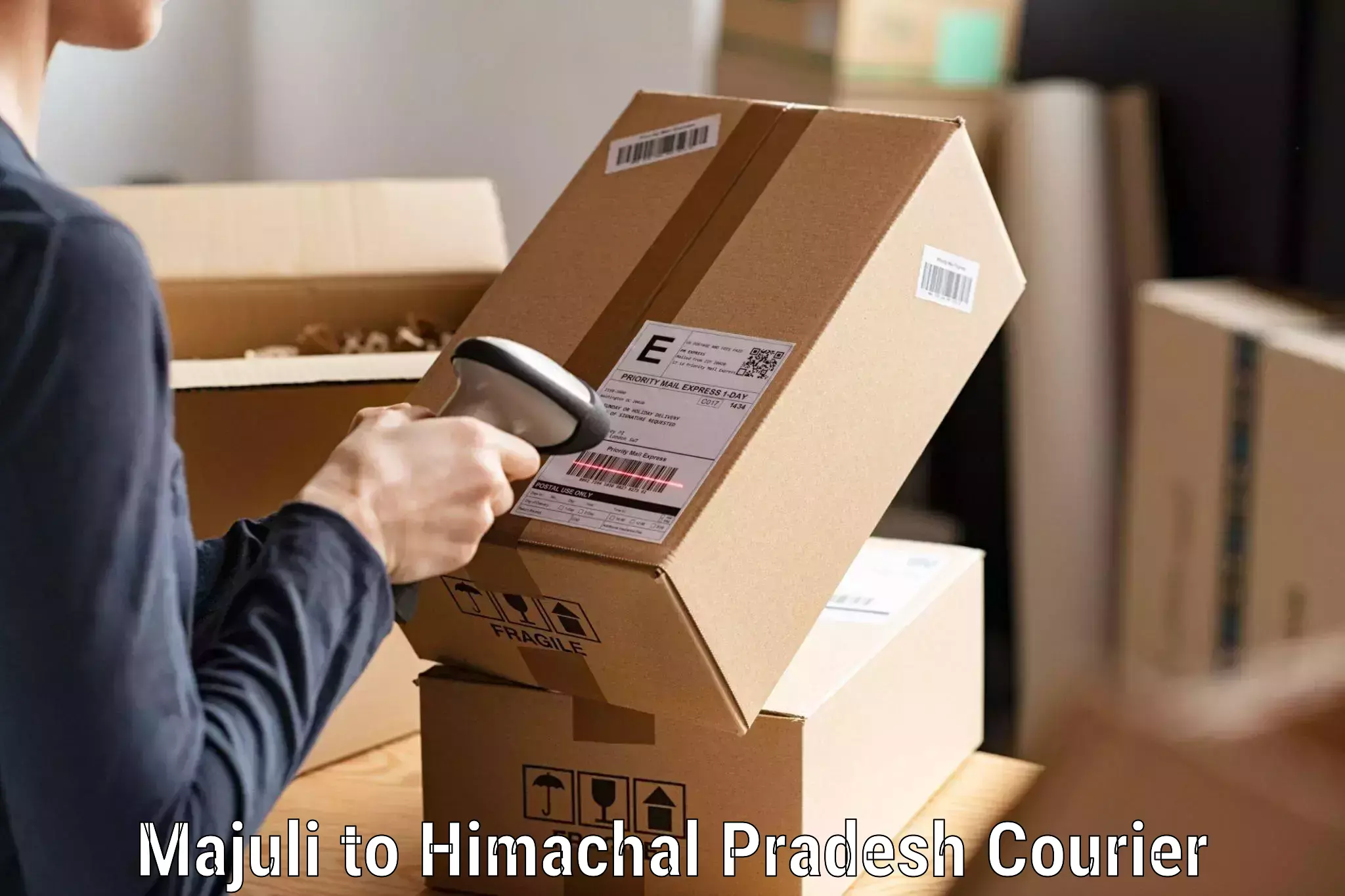 Expedited parcel delivery Majuli to Bhota