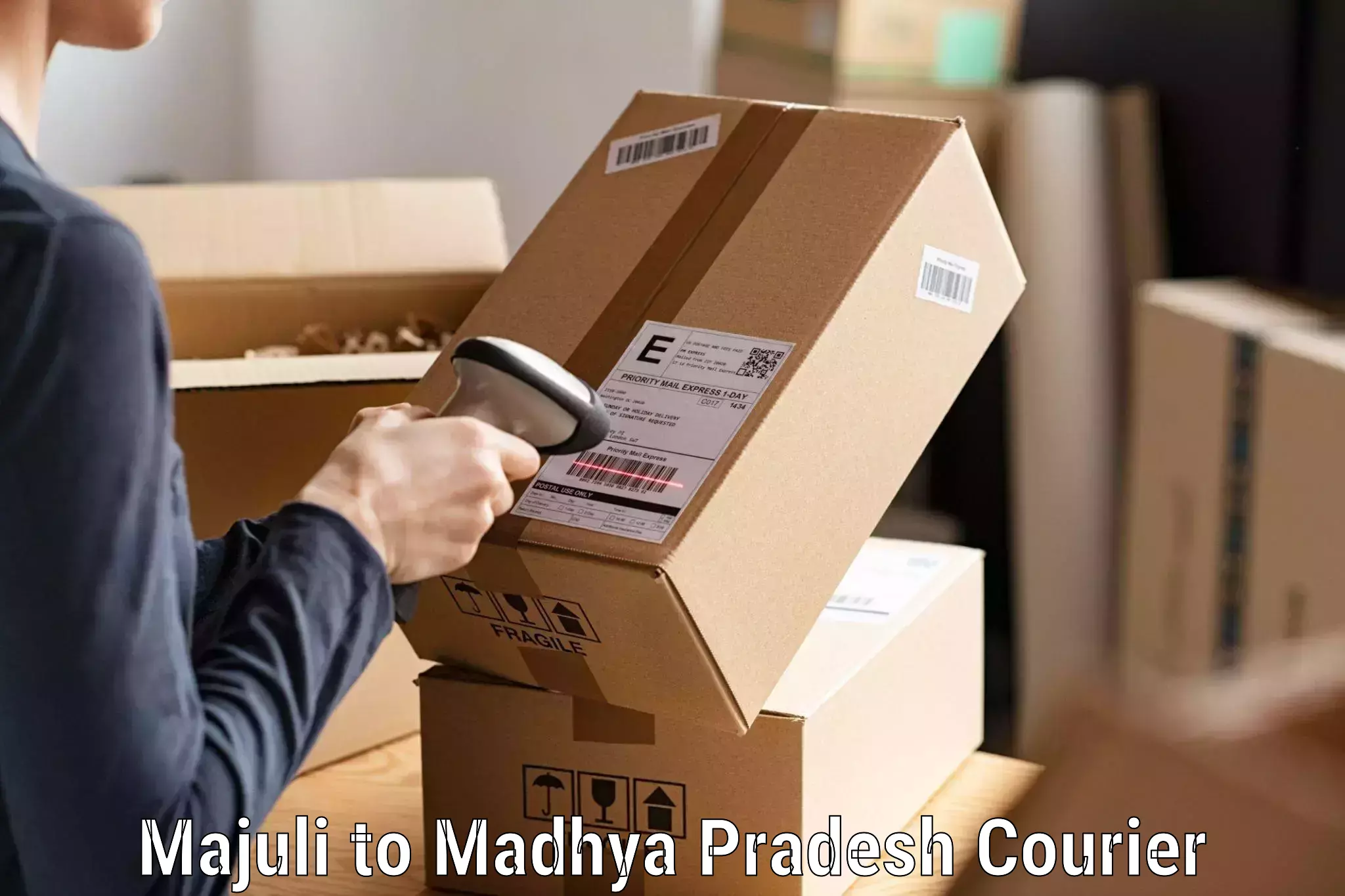 Professional parcel services Majuli to Mandsaur