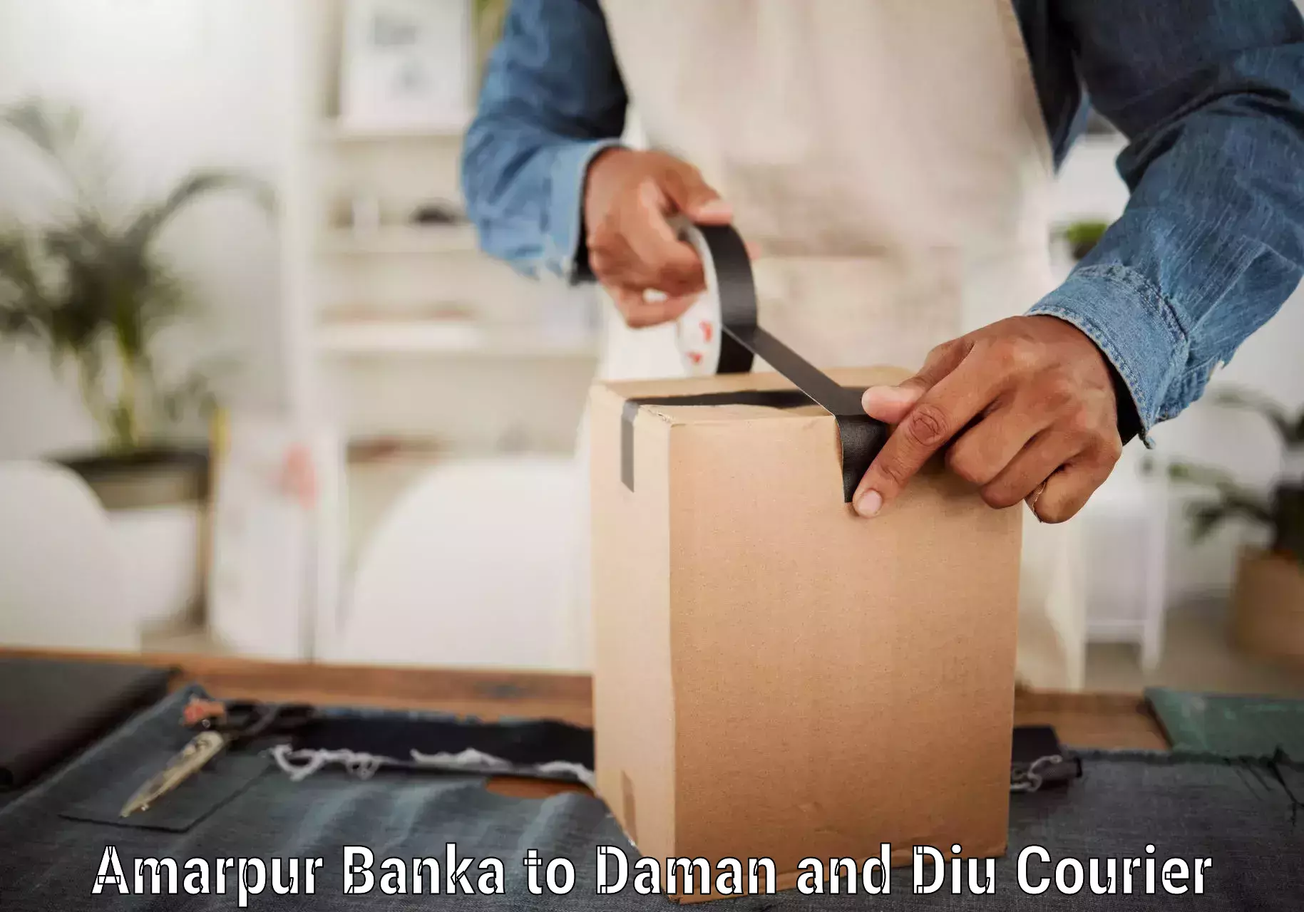Multi-national courier services Amarpur Banka to Diu