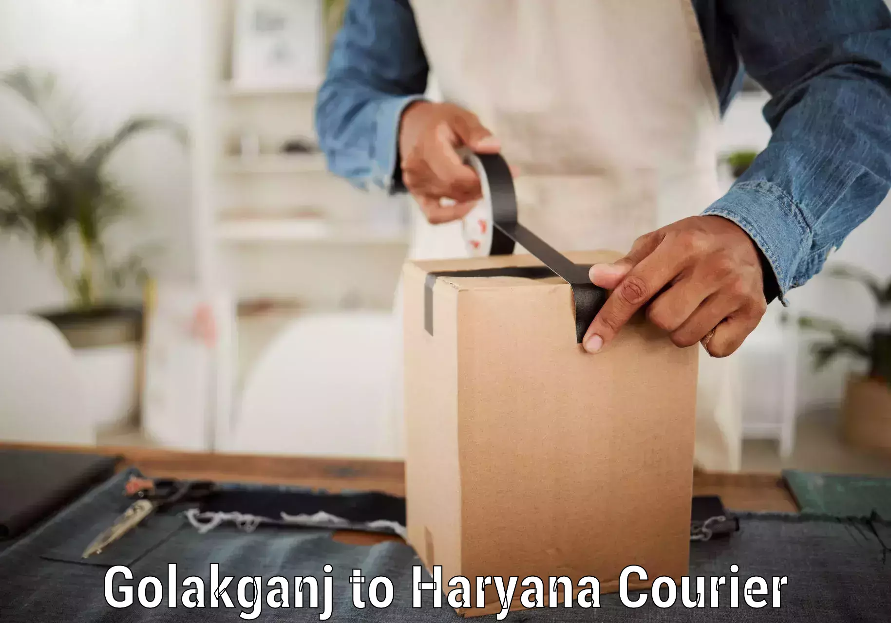 Courier service booking Golakganj to Faridabad