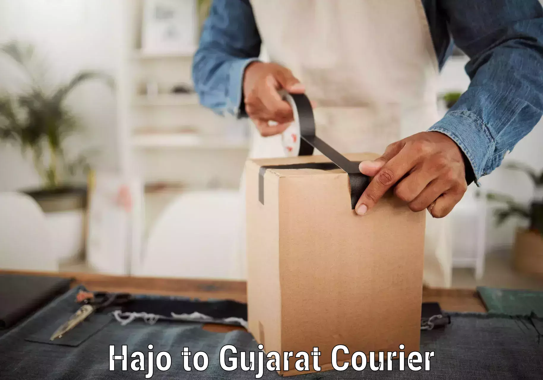 Quality courier partnerships Hajo to Surat