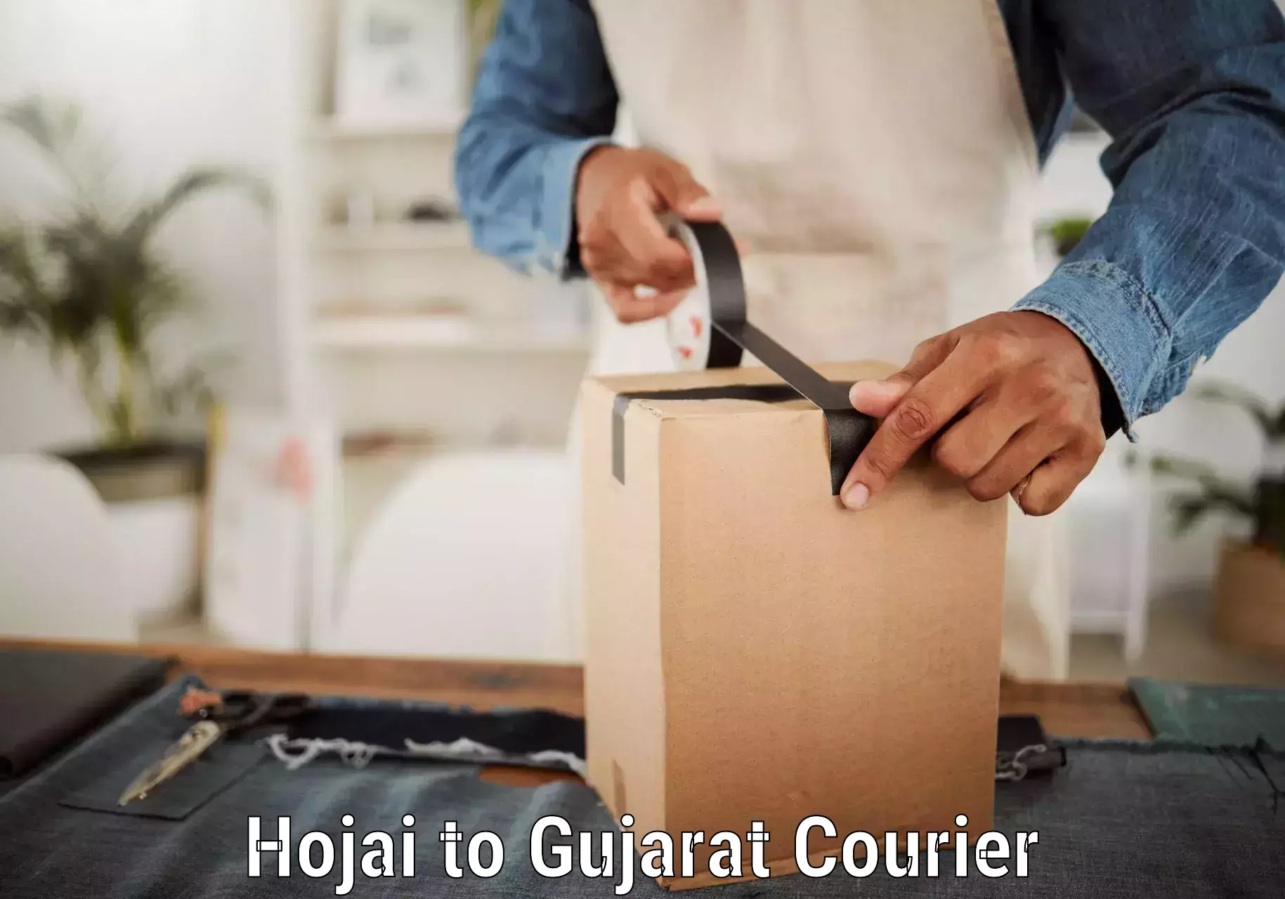 International parcel service Hojai to Gandhinagar
