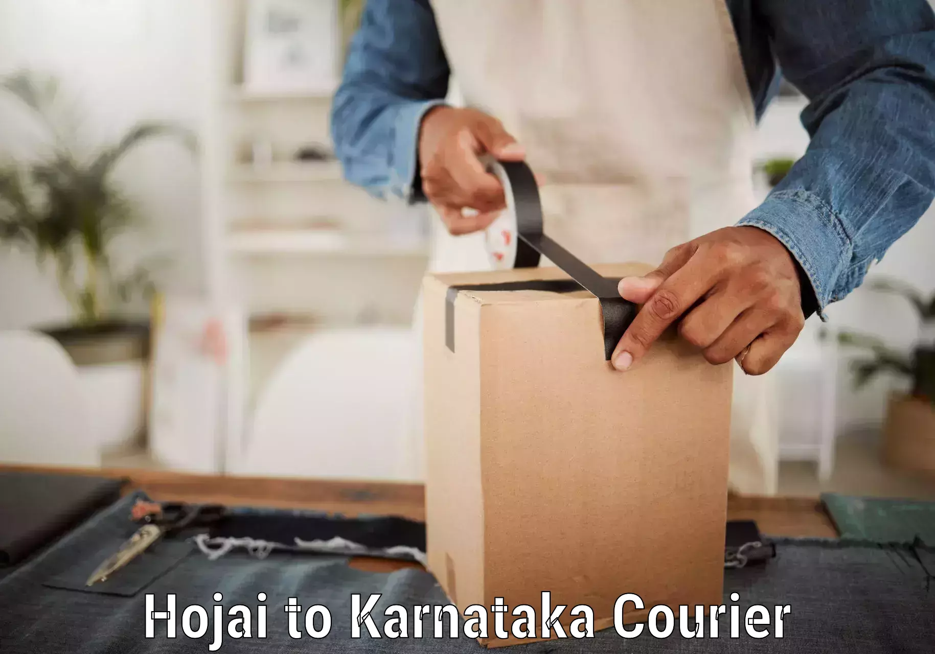 Courier service efficiency in Hojai to Ankola