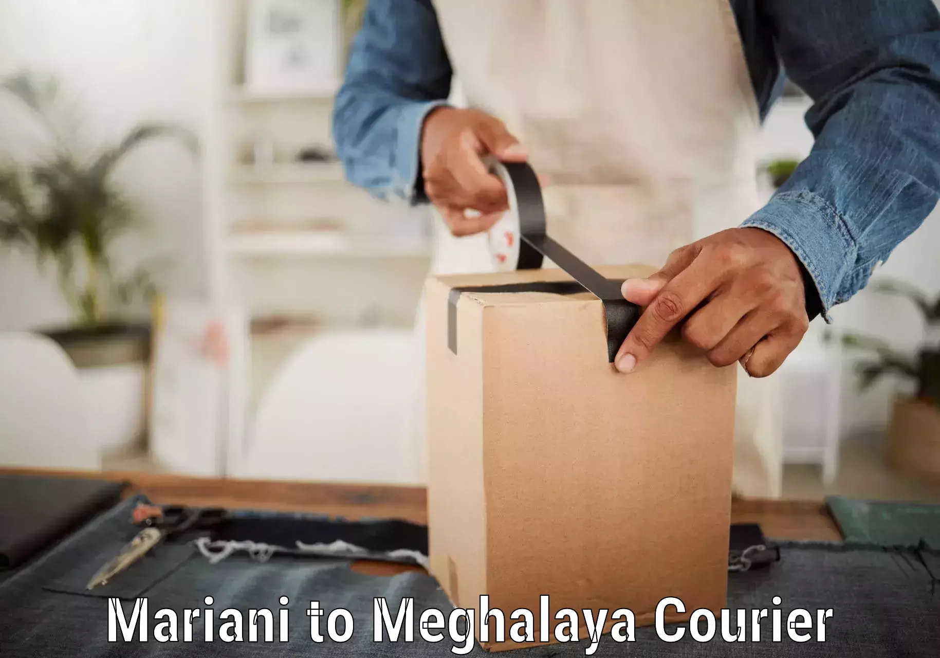 Comprehensive logistics solutions in Mariani to Cherrapunji