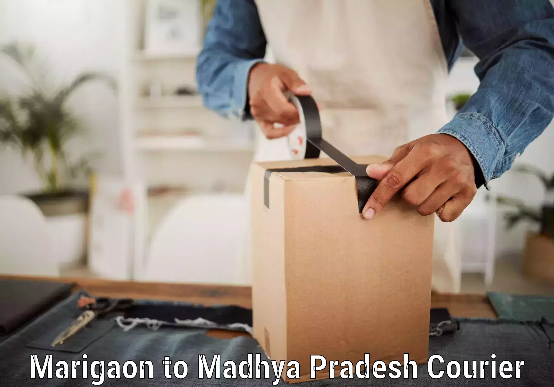 Round-the-clock parcel delivery Marigaon to Madhya Pradesh