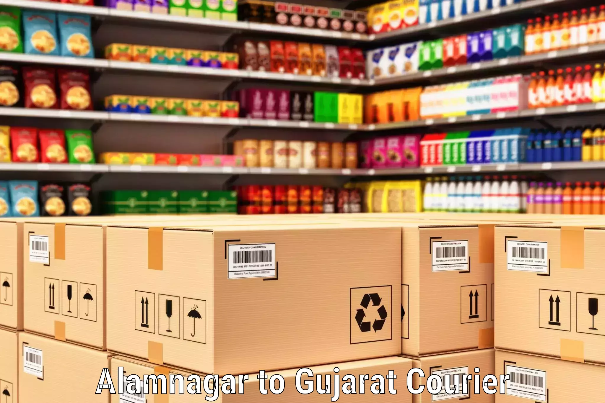 Modern courier technology Alamnagar to IIT Gandhi Nagar