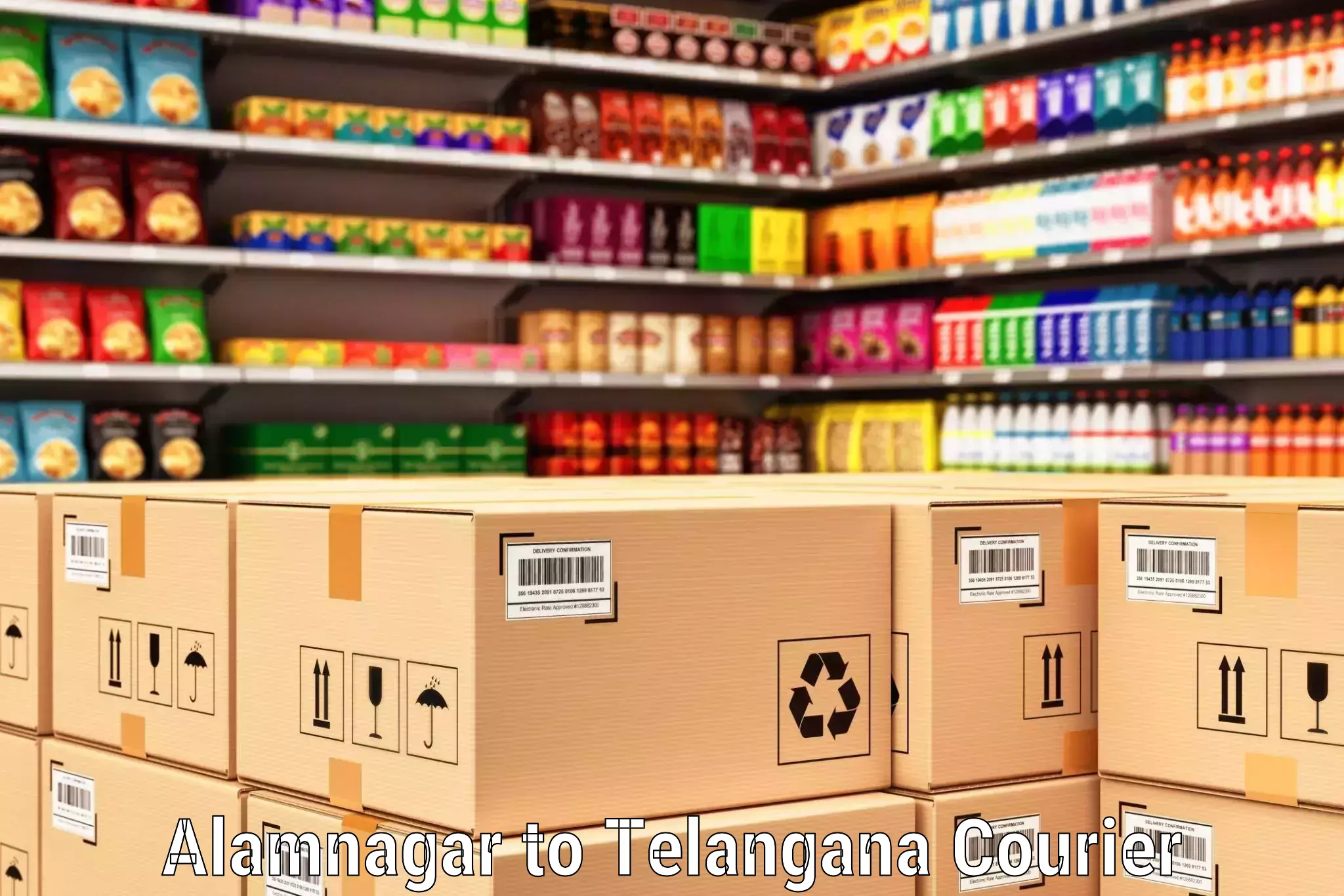 Modern courier technology Alamnagar to Manneguda