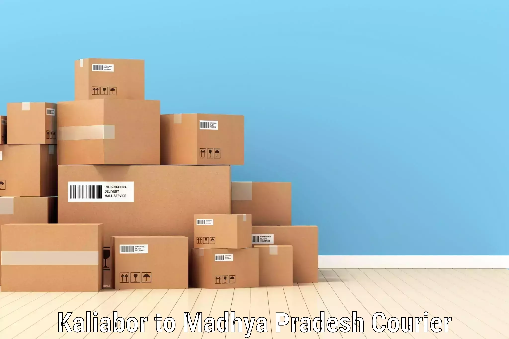 Large package courier Kaliabor to Madhya Pradesh
