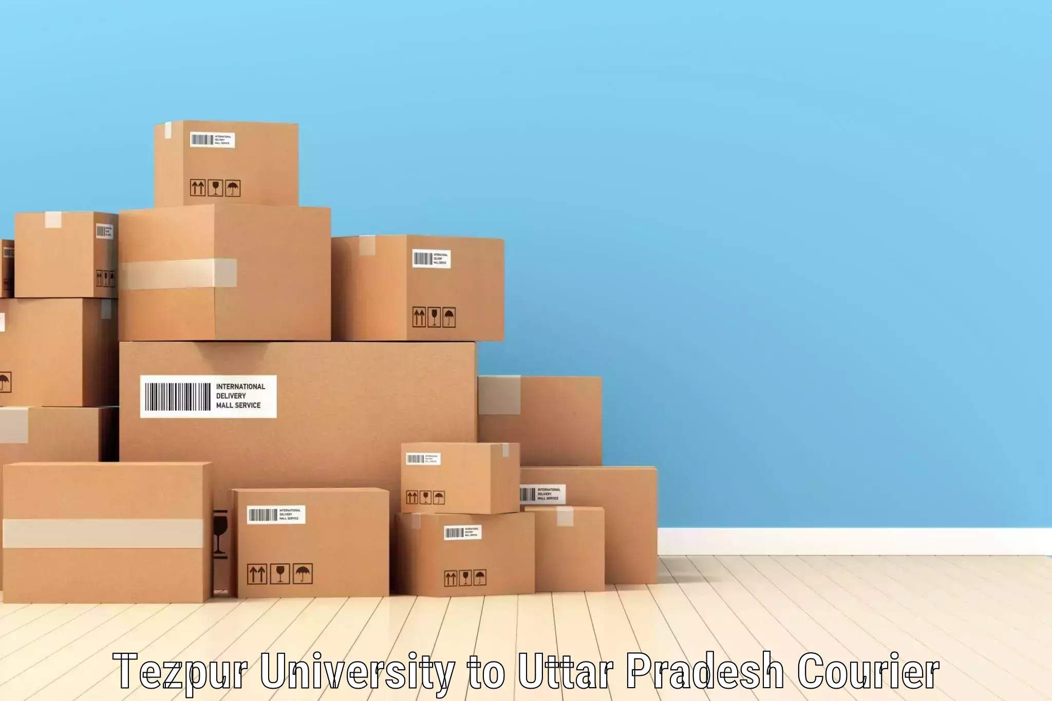 Online package tracking Tezpur University to Allahabad