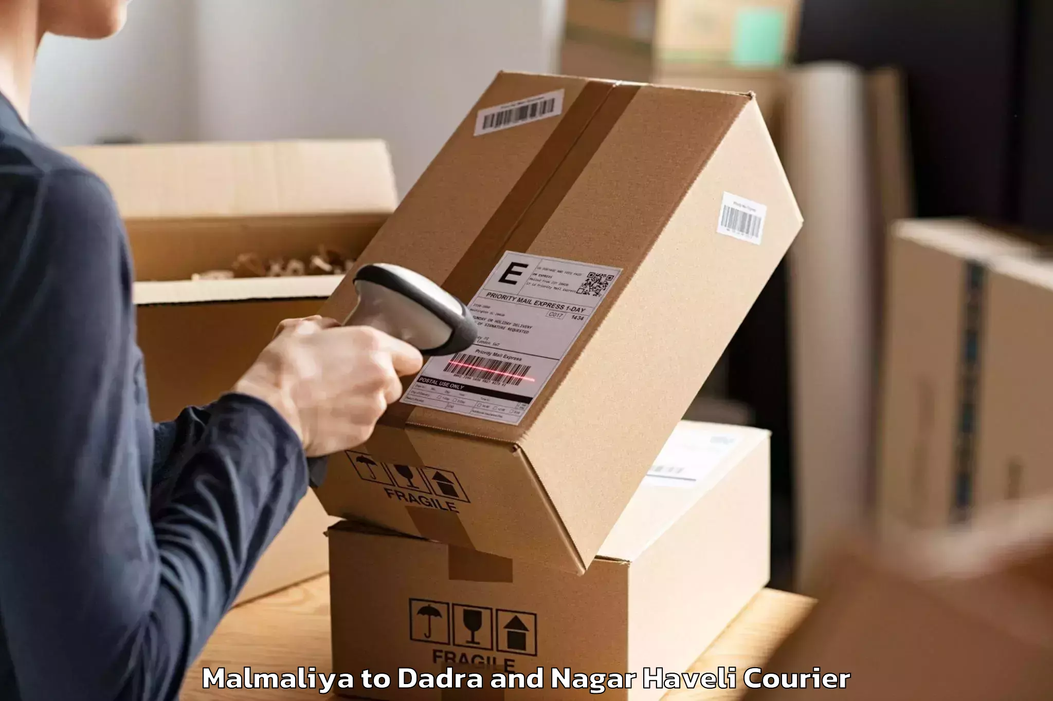 Home moving solutions Malmaliya to Dadra and Nagar Haveli