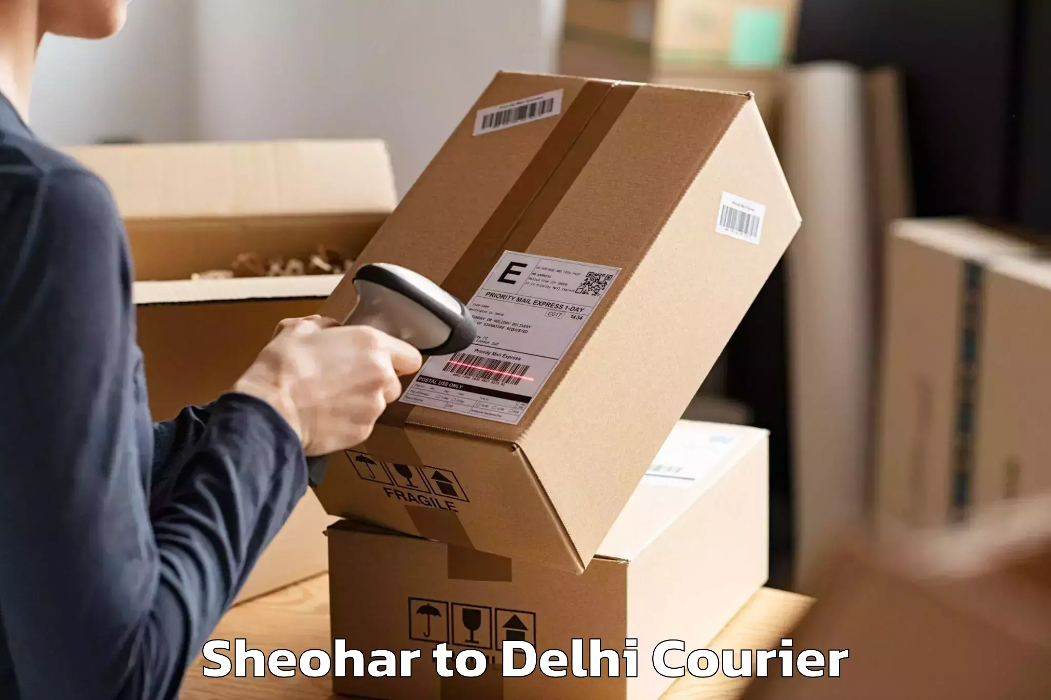 Household goods transport service Sheohar to University of Delhi