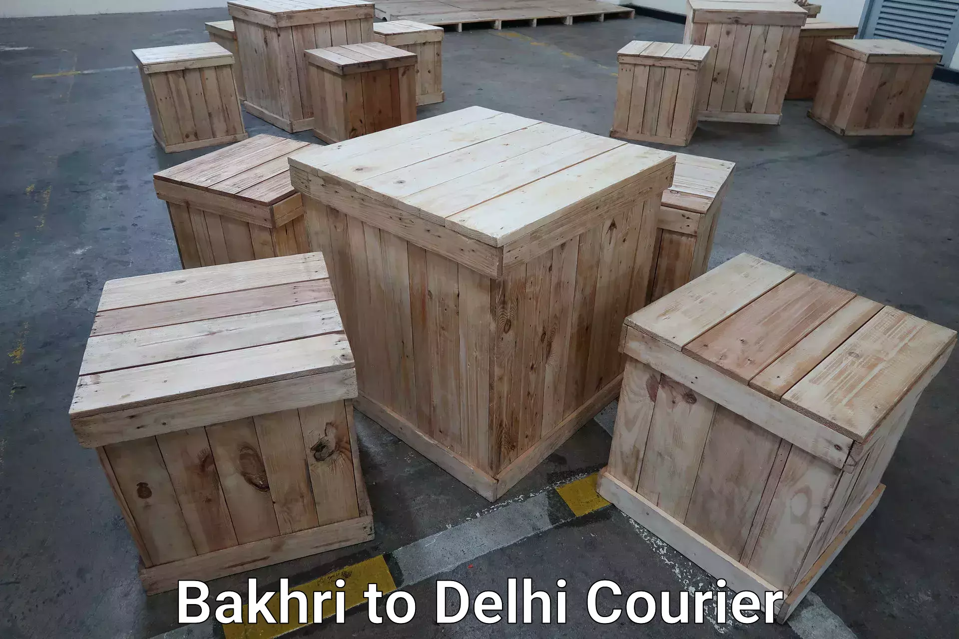 Efficient luggage delivery Bakhri to Delhi