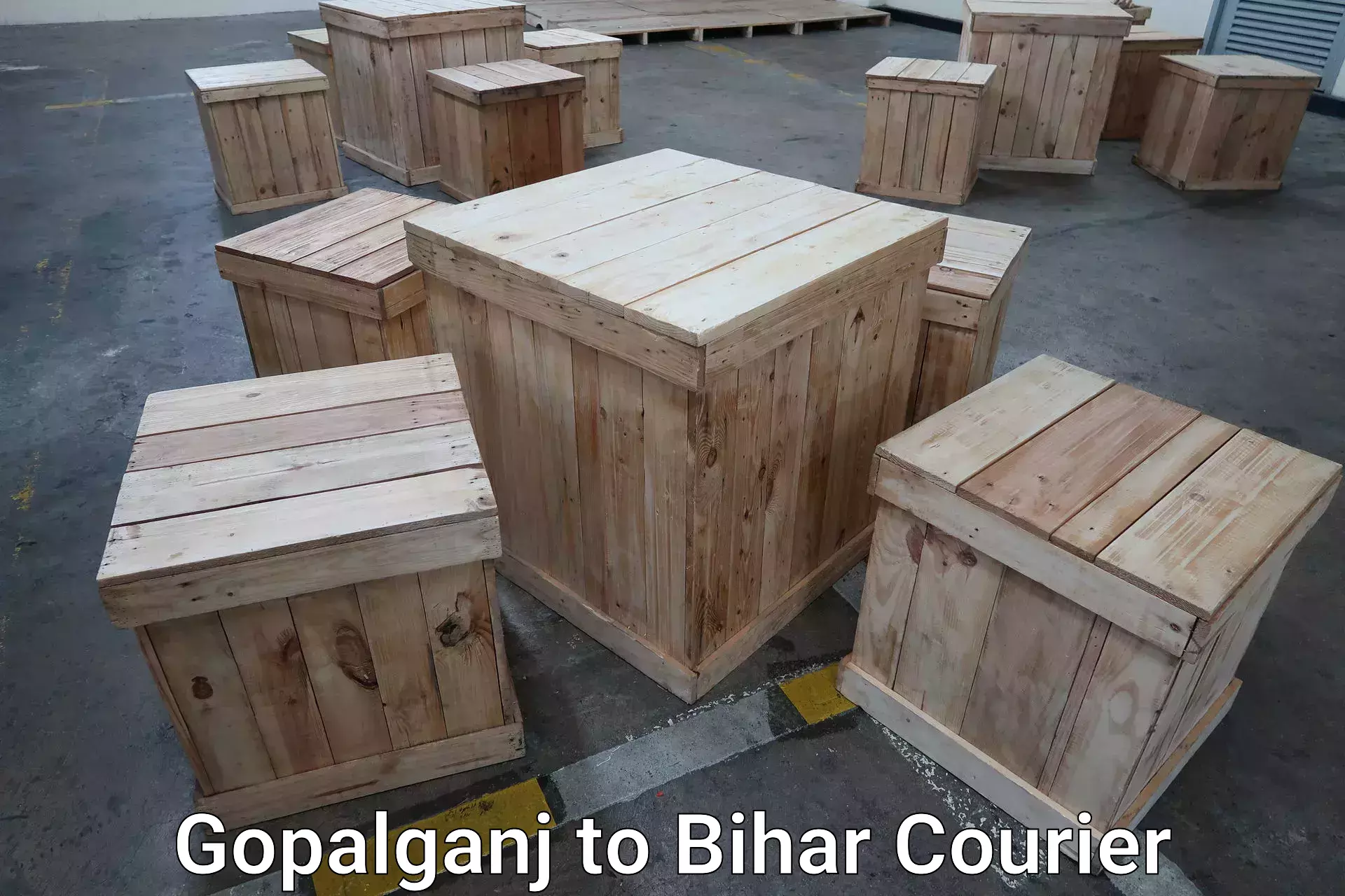 Global baggage shipping Gopalganj to Baniapur