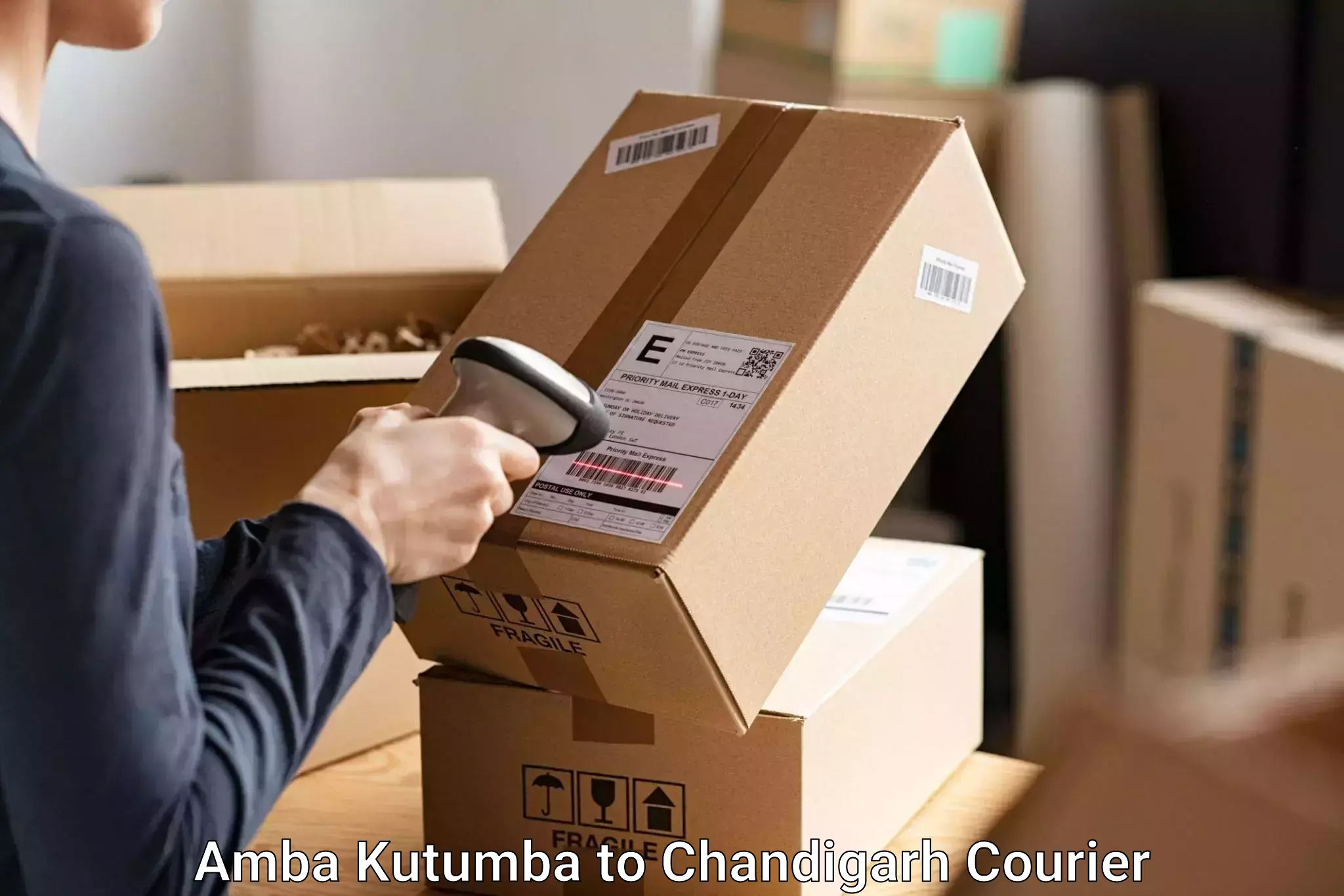 High-quality baggage shipment in Amba Kutumba to Chandigarh