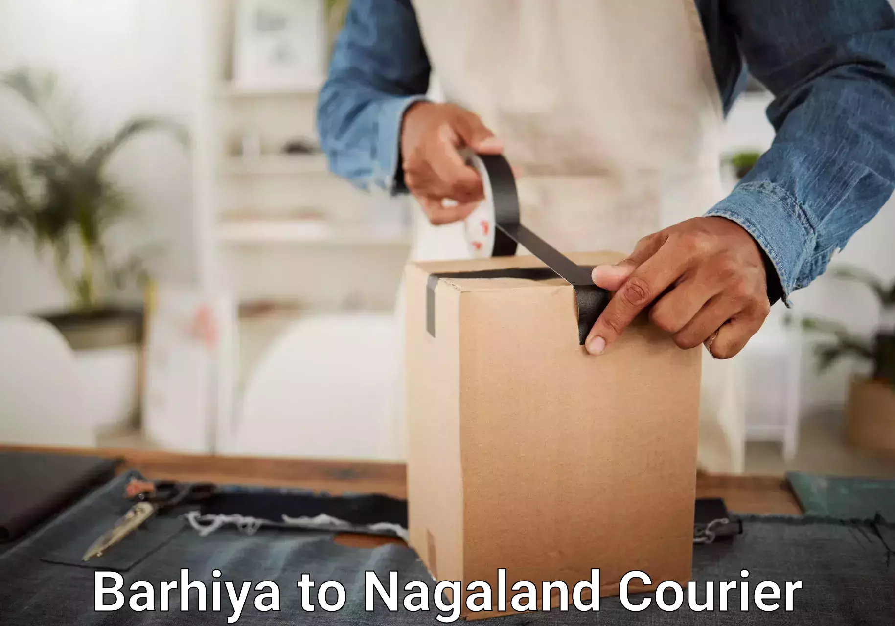 Baggage courier guide Barhiya to Nagaland