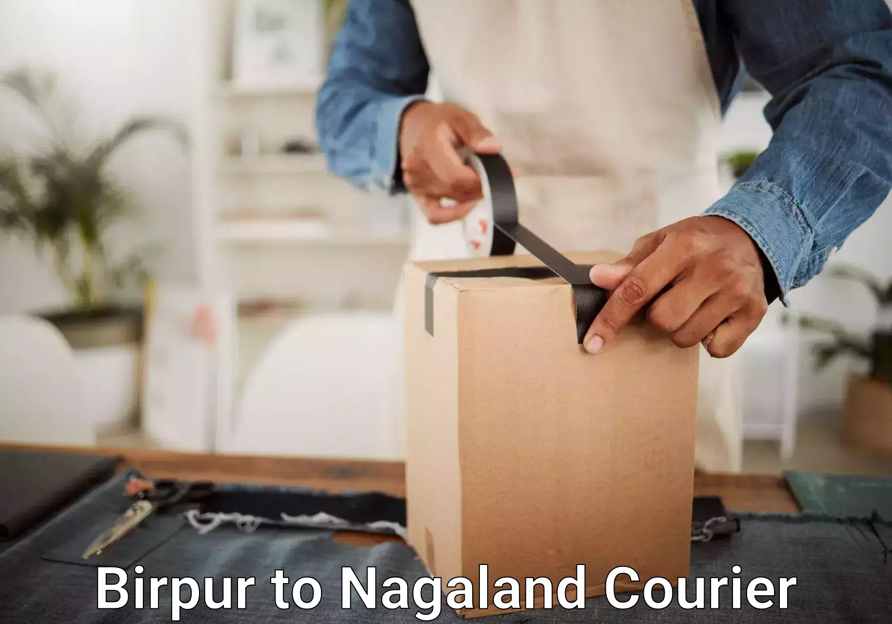 Baggage courier insights in Birpur to Nagaland