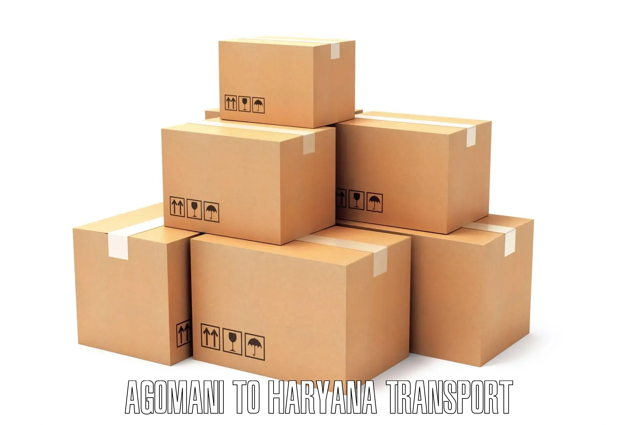 International cargo transportation services Agomani to Maharshi Dayanand University Rohtak