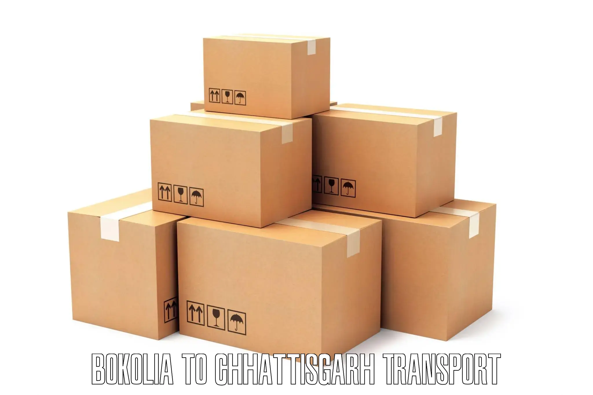 Container transport service Bokolia to Chhattisgarh