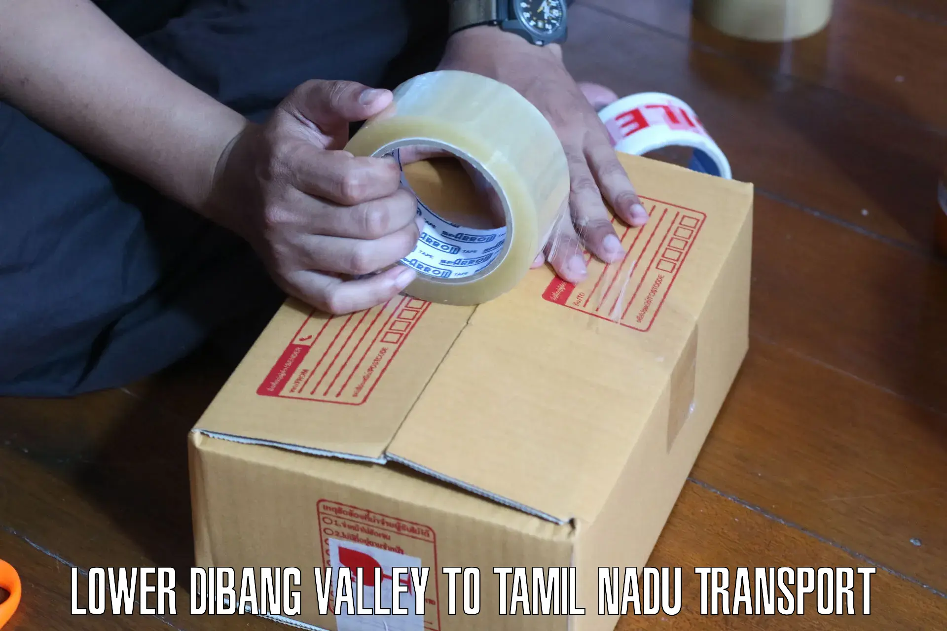 Daily parcel service transport Lower Dibang Valley to Karaikudi