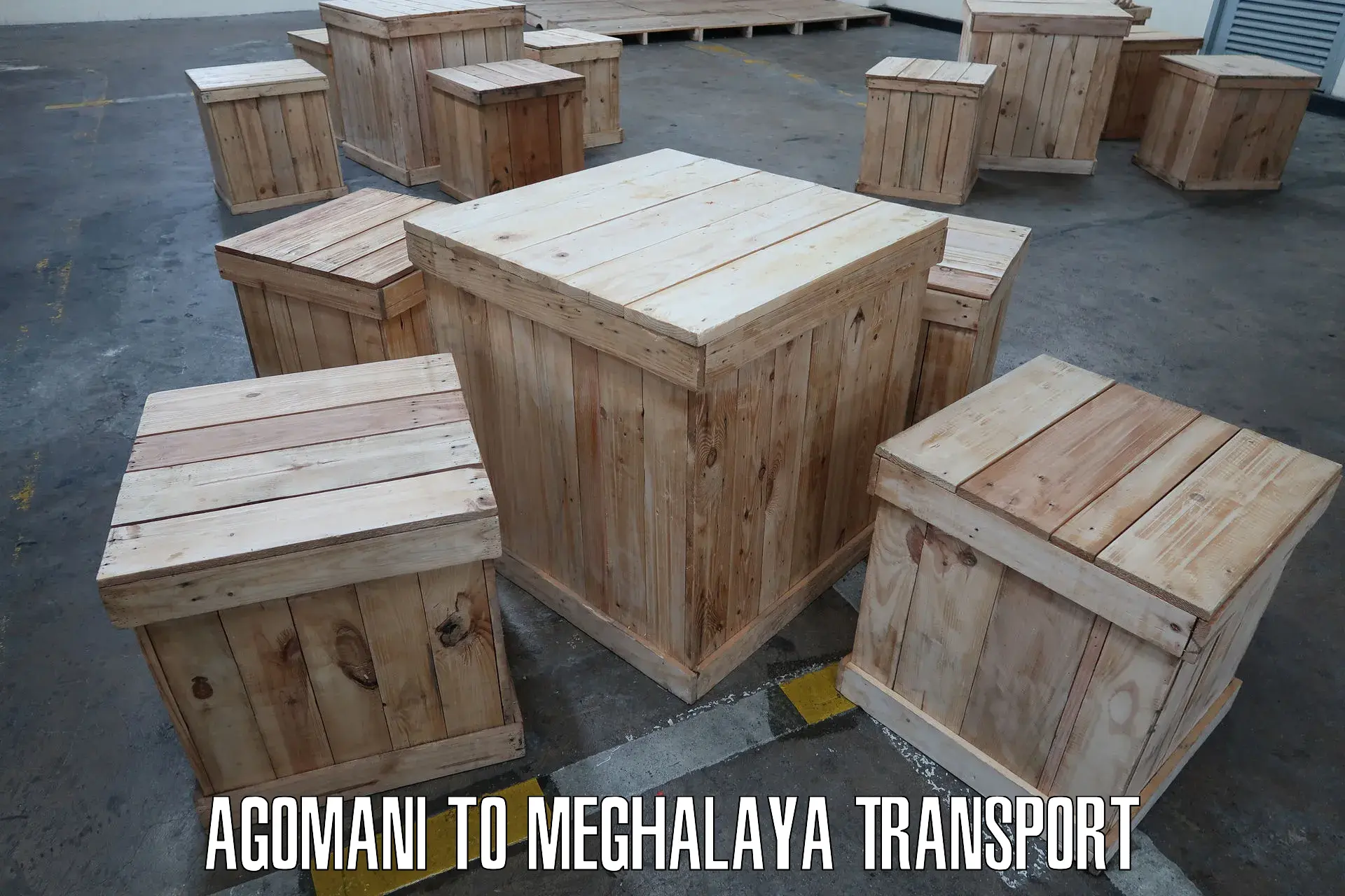 Domestic goods transportation services in Agomani to Williamnagar