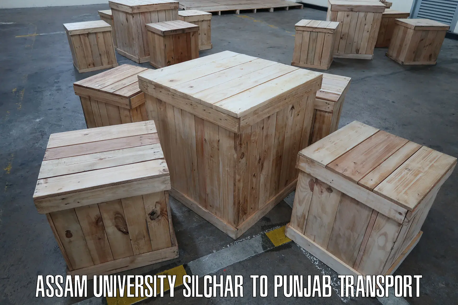 Container transport service Assam University Silchar to Patiala