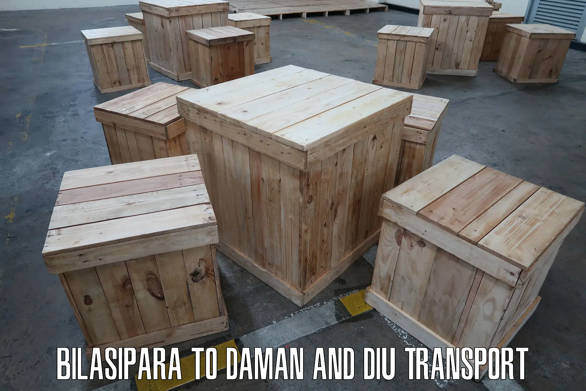 Furniture transport service in Bilasipara to Diu