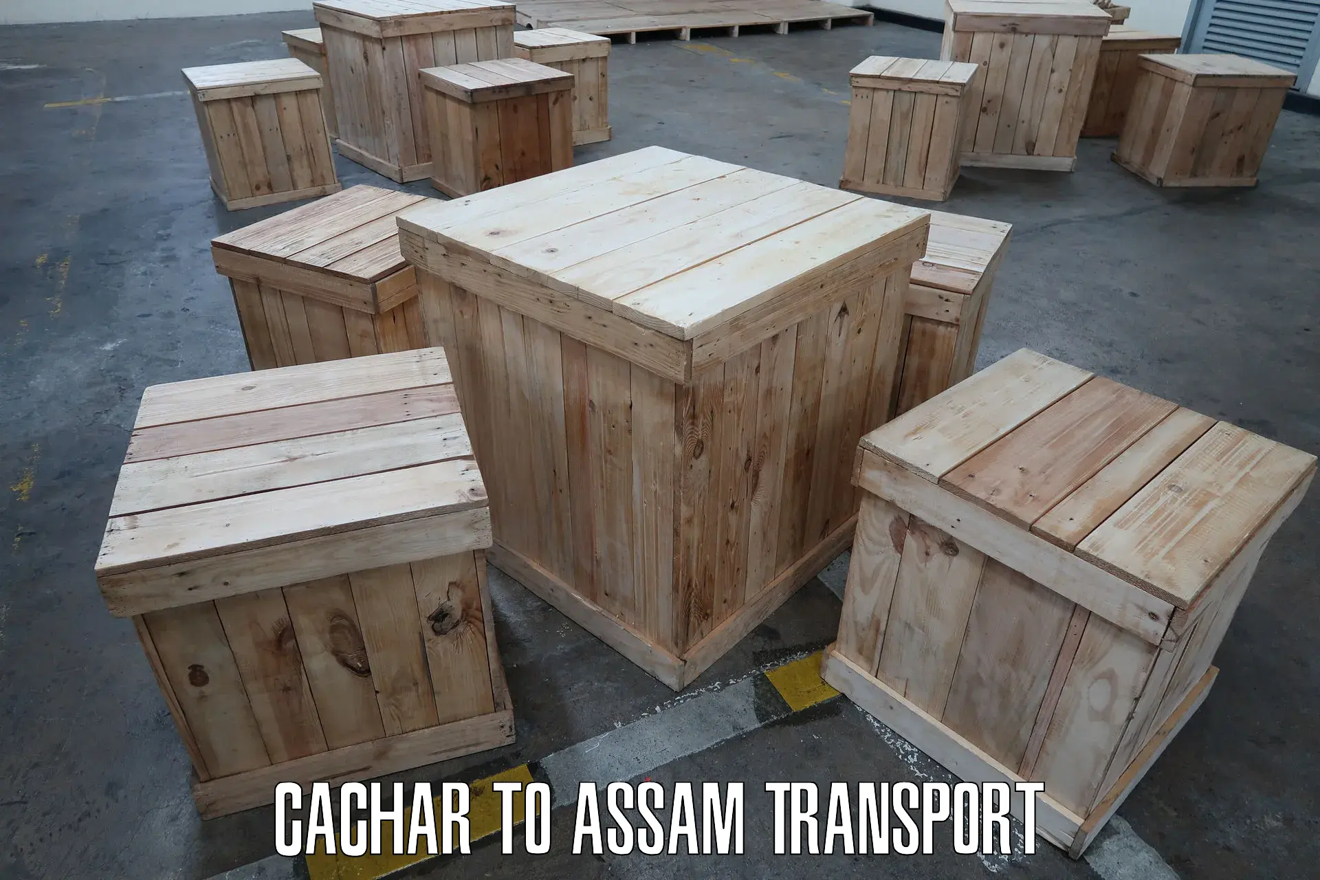 Cargo train transport services Cachar to Rupai Siding