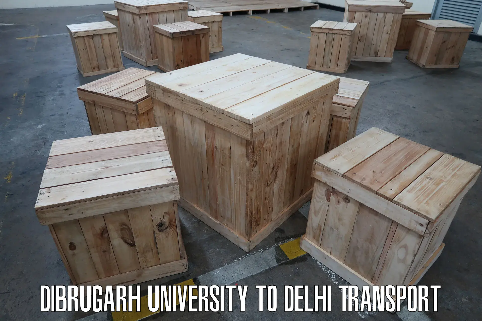 Container transport service Dibrugarh University to Delhi Technological University DTU