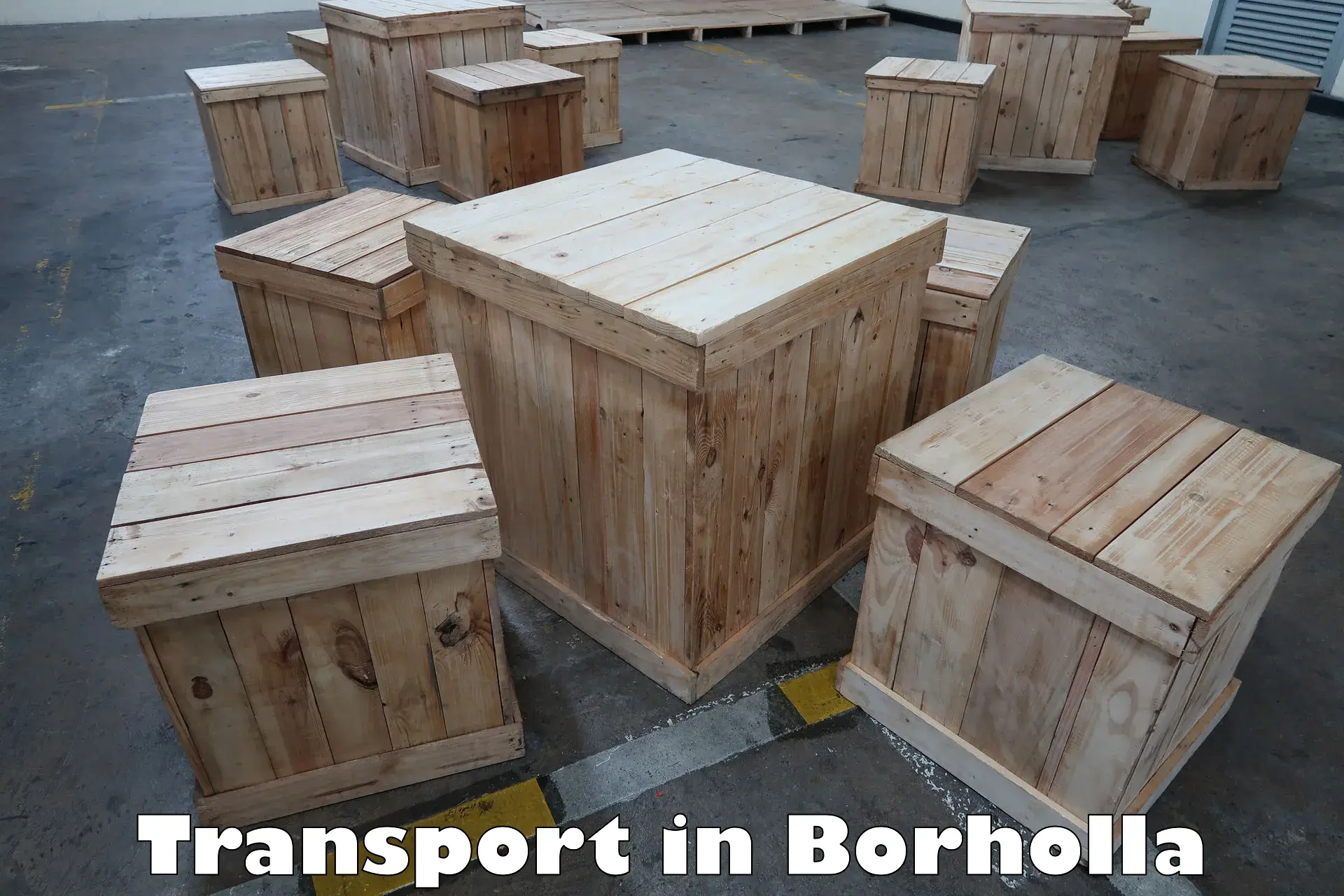 Transport shared services in Borholla