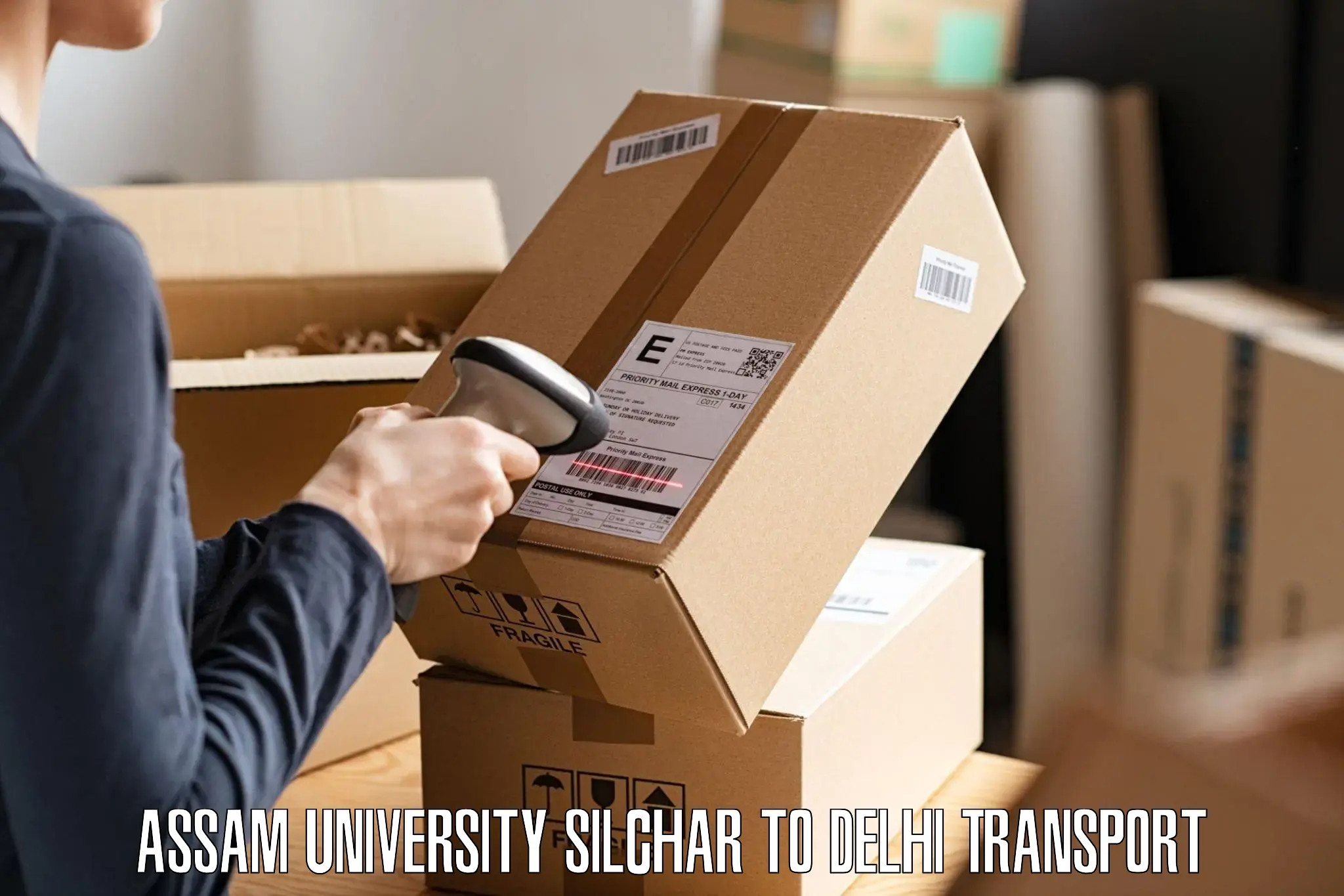 Cargo train transport services Assam University Silchar to University of Delhi